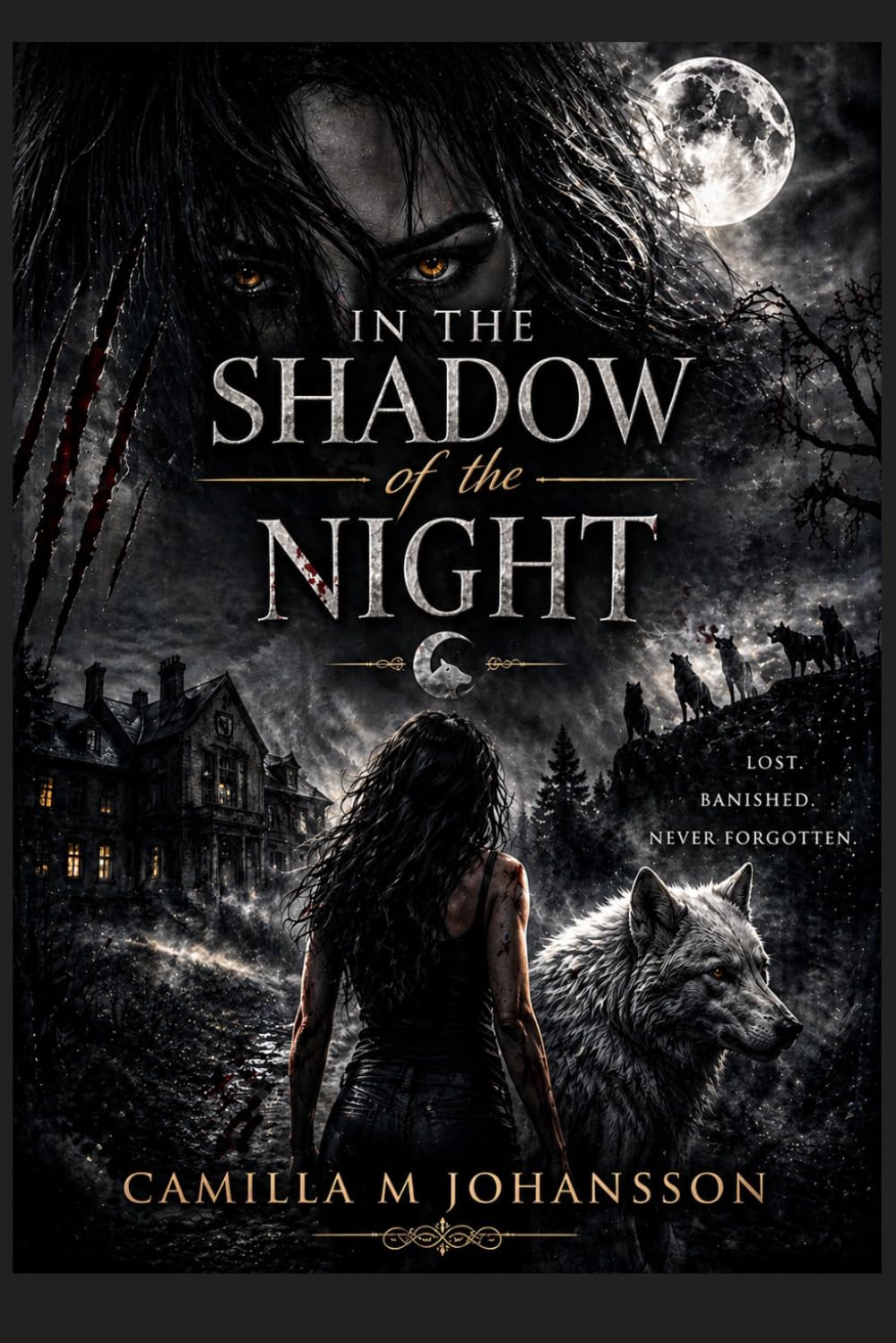 IN THE SHADOW OF THE NIGHT: LOST. BANISHED. NEVER FORGOTTEN.