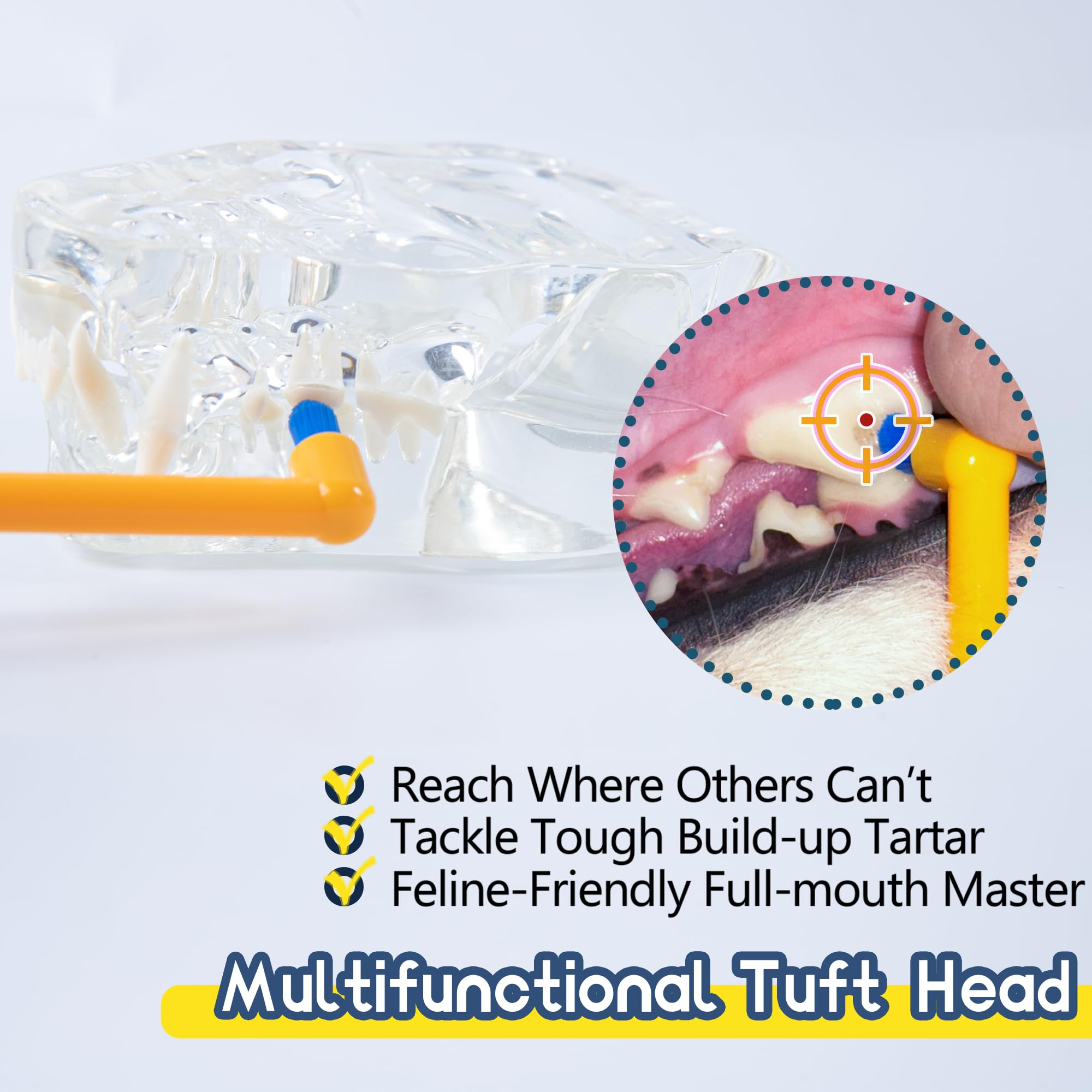 Lot de 2 brosses à dents pour chat - Pour petit chien et chiot - Brosse à dents pour chaton et petit animal de compagnie - Nettoyage dentaire en profondeur - Orange