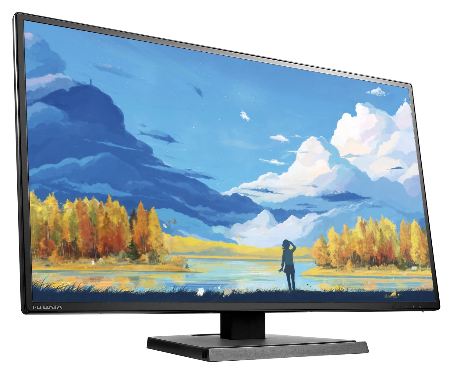 Amazon.co.jp: I-O DATA 広視野角 27型液晶ディスプレイ ブラック LCD 