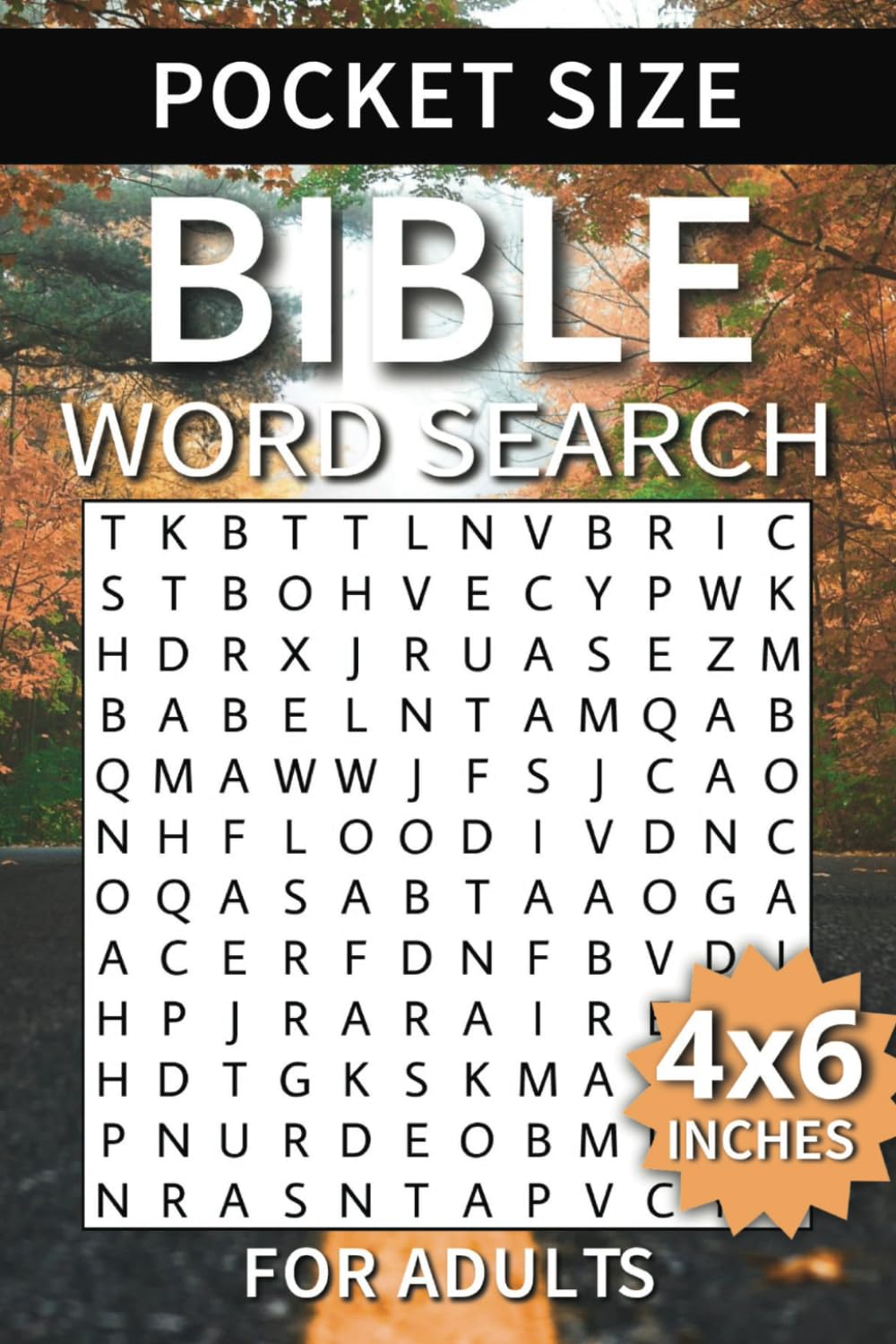 Pocket Size Bible Word Search for Adults