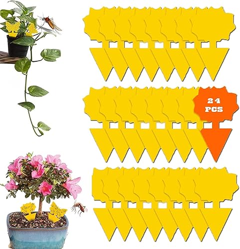 Atrapasamoscas de frutas para interiores y exteriores para plantas de casa, paquete de 24 unidades, atrapador amarillo pegajoso, mosca de la fruta, disponible en Yaxa Colombia
