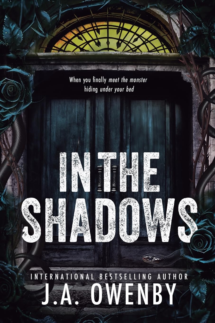 In the Shadows: A Dark Stalker Romance: 1