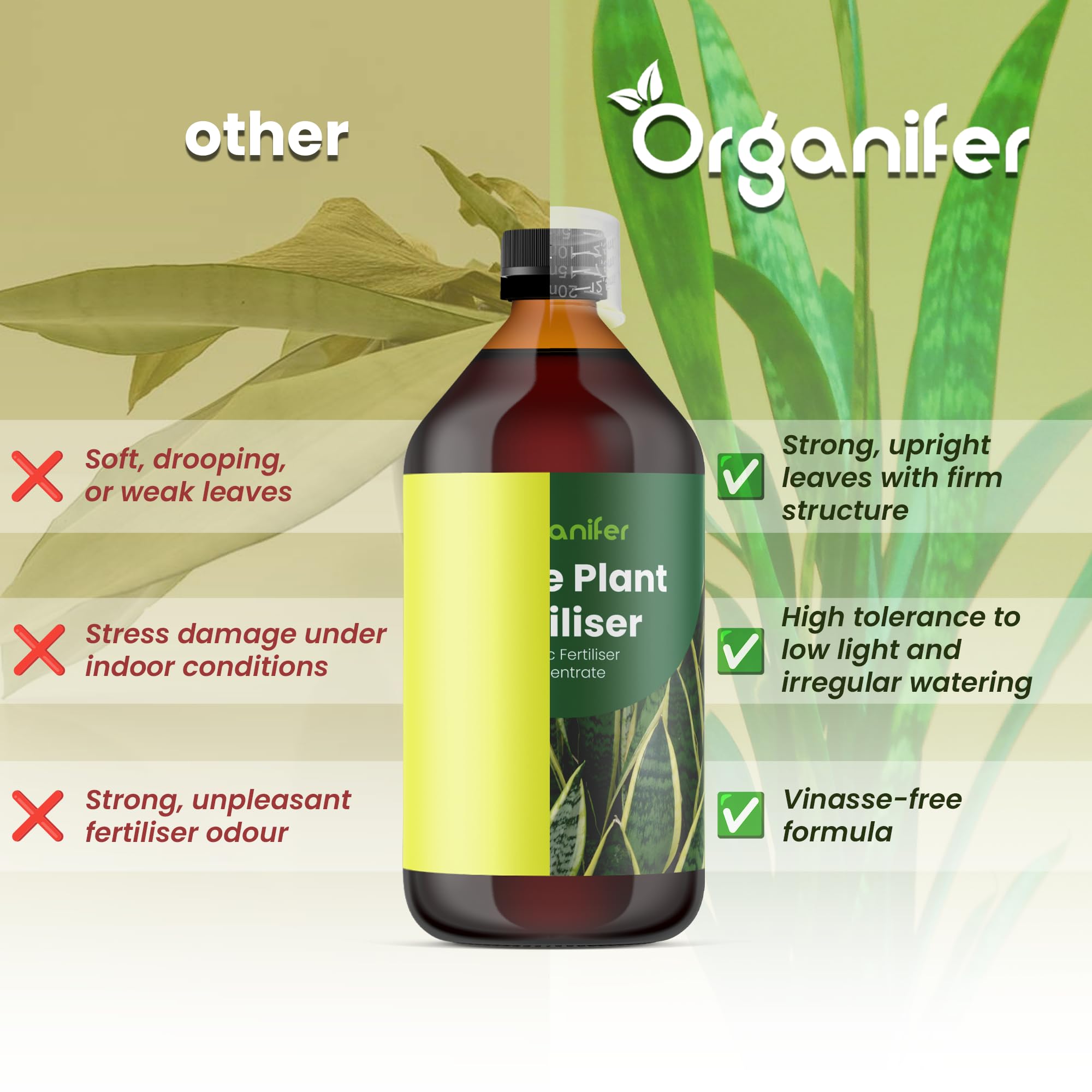 Engrais Liquide pour Sansevieria 1L, Organique, Croissance Rapide et Racines Fortes