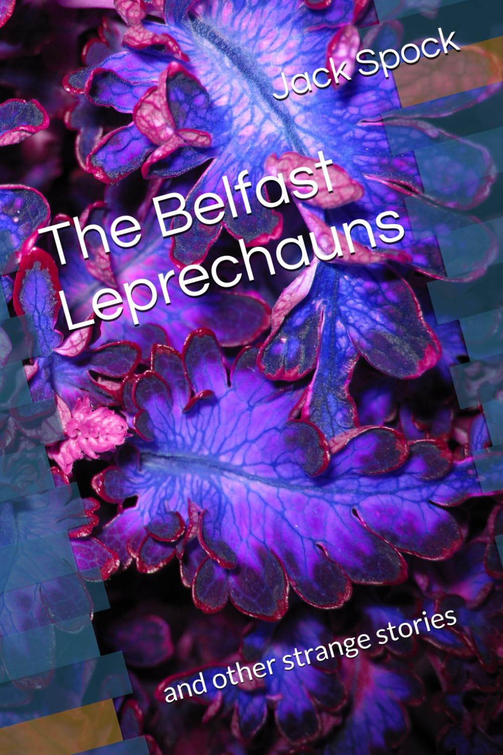 The Belfast Leprechauns: and other strange stories