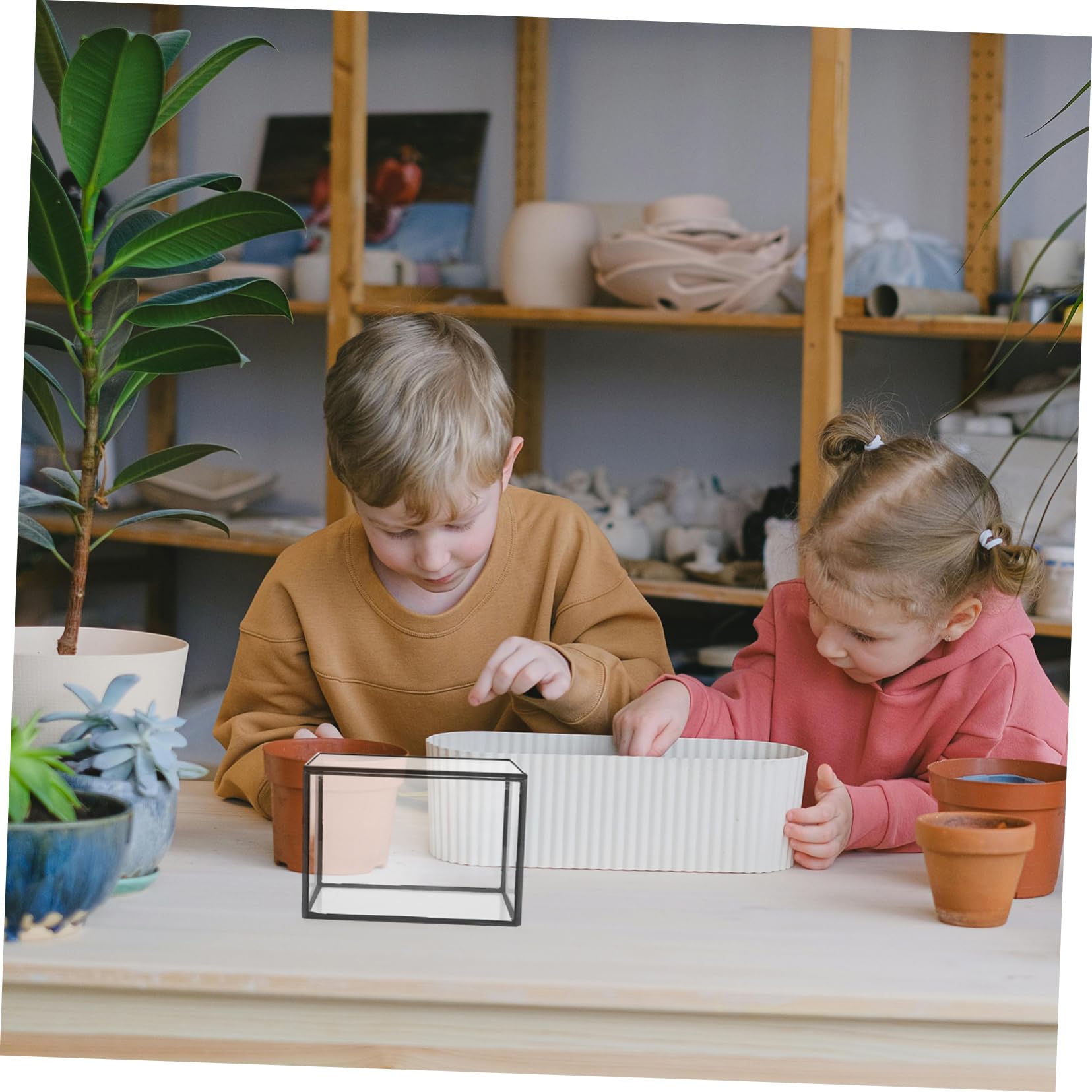 Kit per Terrario Piante in Vetro per Piante e Fiori, Terrario Fai da Te per Ufficio, Decorazione Semplice e Resistente