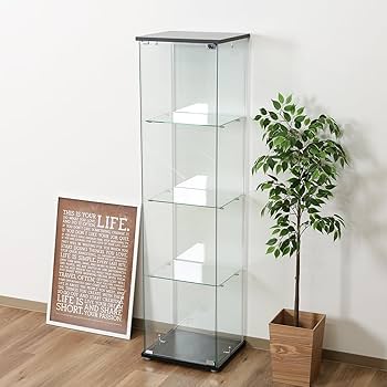 Amazon.co.jp: 不二貿易 コレクションケース フィギュアケース 4