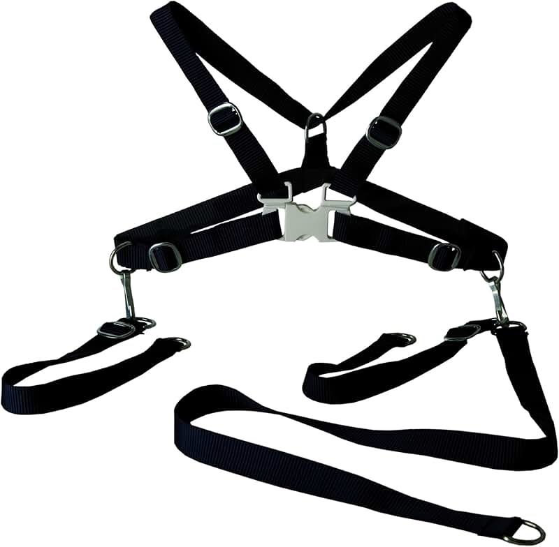 Amazon.co.uk child safety harness