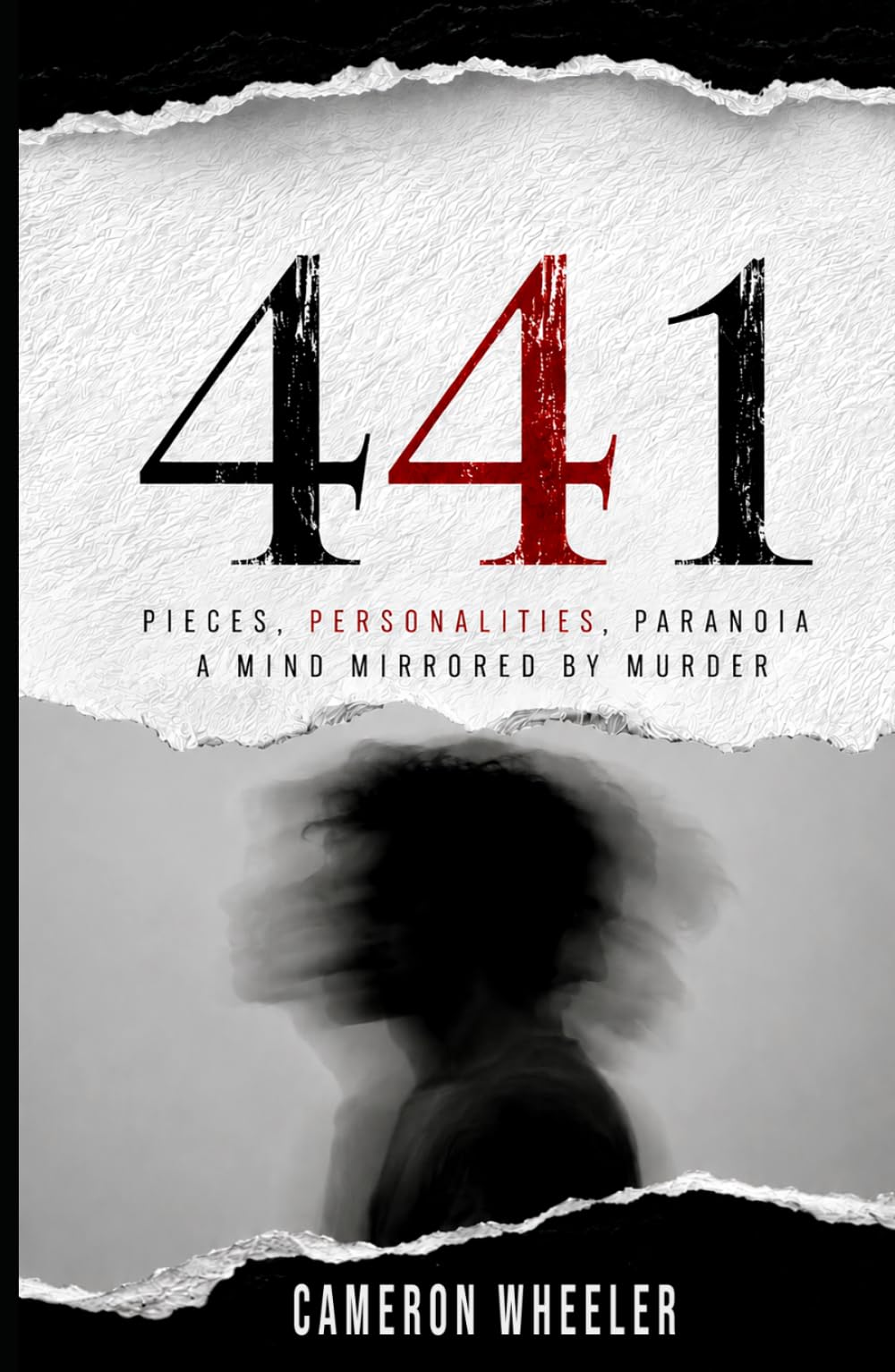 441: A Psychological Thriller About Identity, Obsession and the Darkness Within