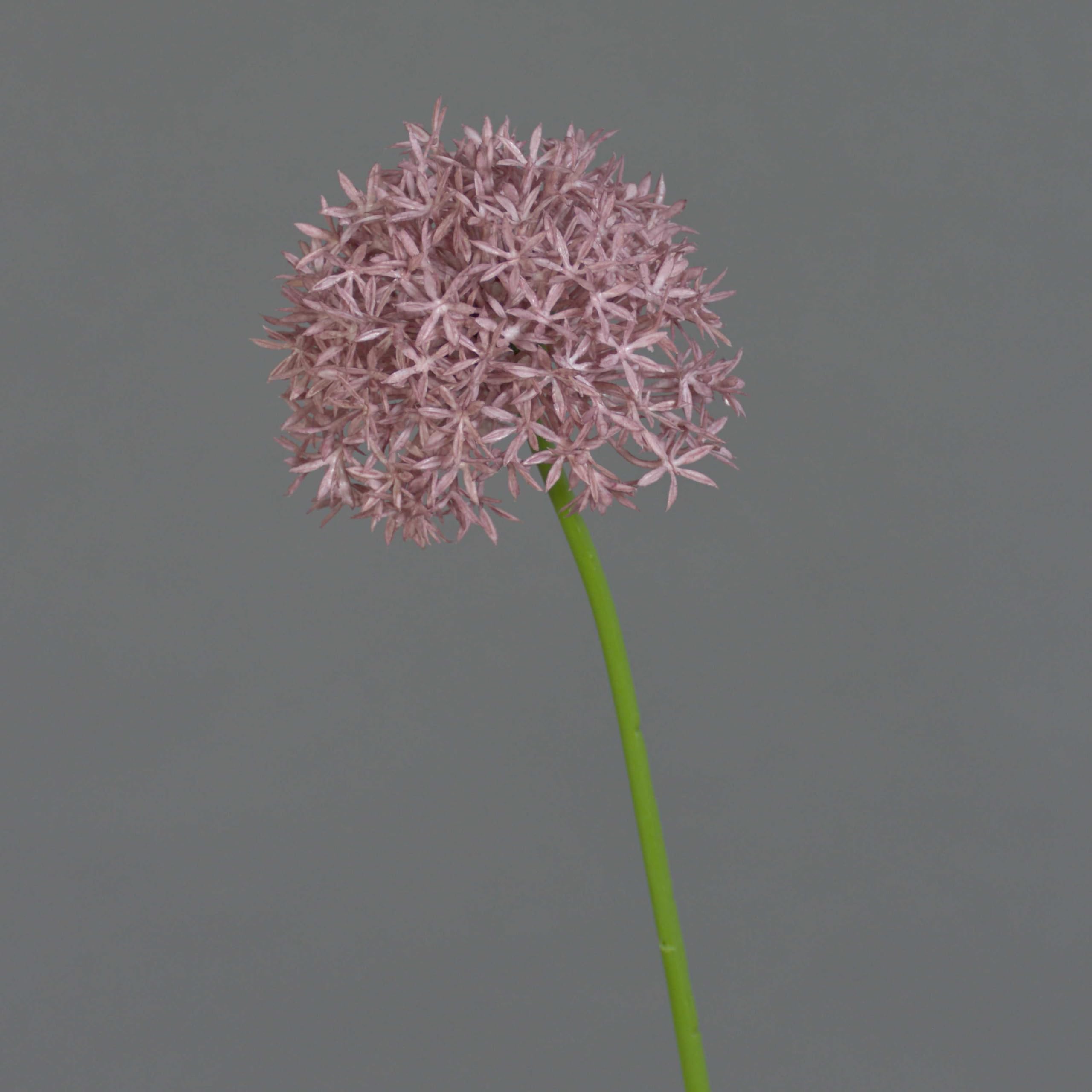 artplants.de Fake allium ARNAU, violet, 24"/60cm - Artificial flowers/False allium