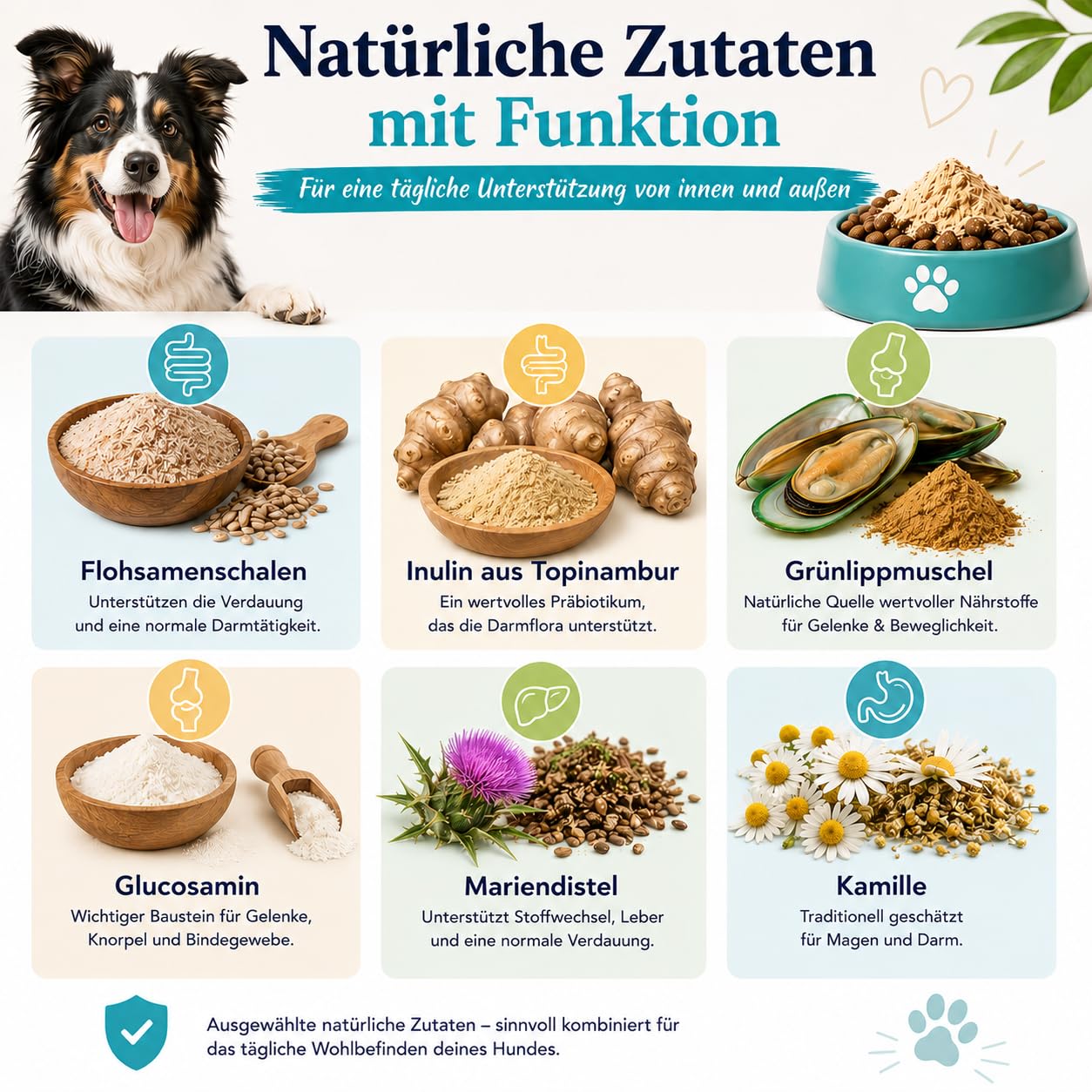 Dr. SAM Futter-Topping Starter Paket für Hunde | 3 x 90g Gesundheits-Toppings für Darmflora, Verdauung, Gelenke, Beweglichkeit, Immunsystem & Vitalität | Tierärztlich entwickelt zur Rundumversorgung