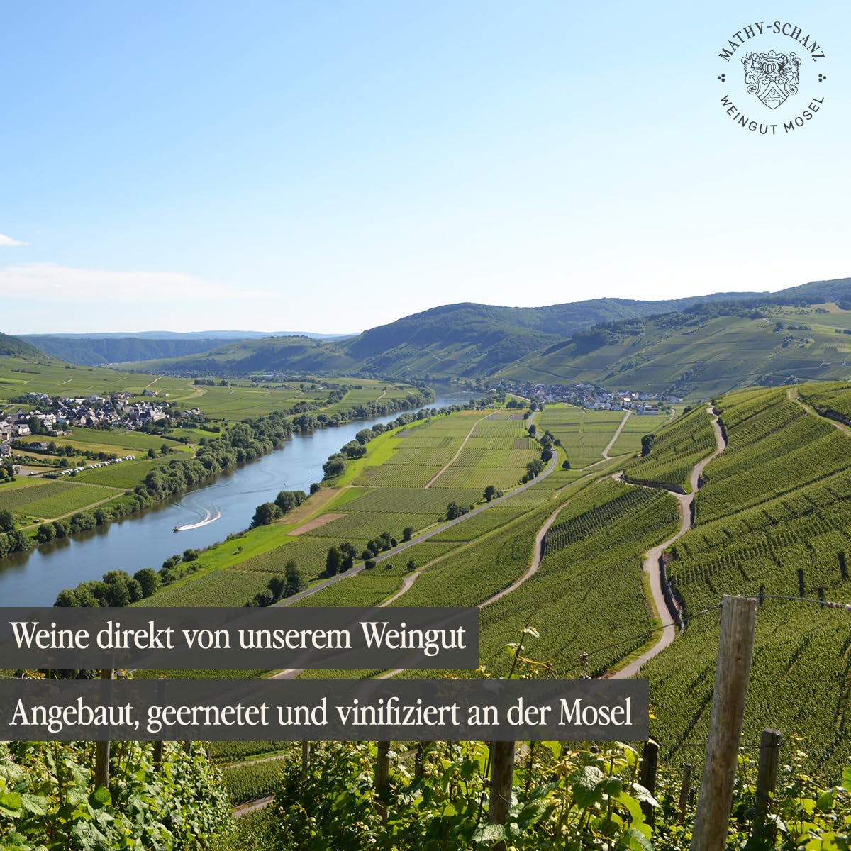 Weingut Mathy-Schanz - Riesling Edelsüß Harmonie | Wein von der Mosel (12 Flaschen (12 x 0,75l))