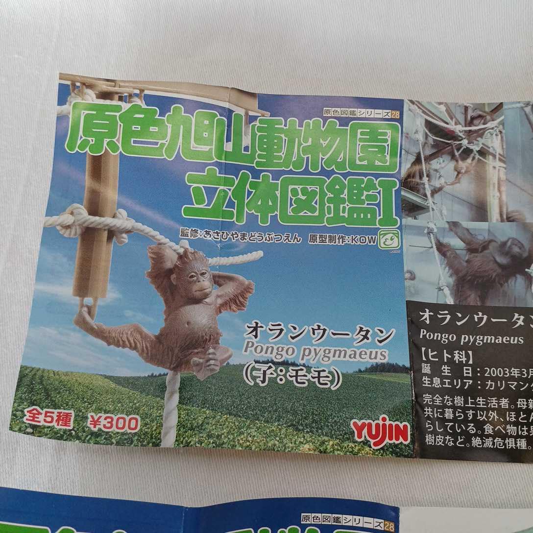 オランウータン フィギュア あさひやま動物園 旭川旭山動物園 ゴリラ オランウータン フィギュア カプセルトイ