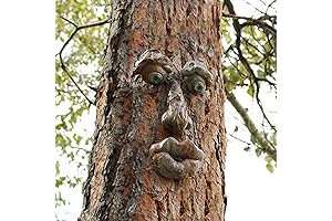 Creative Outdoor Tree Face Decor