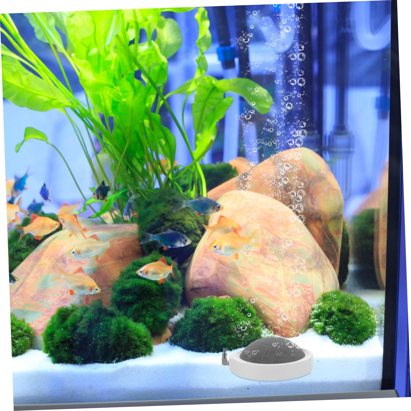 POPETPOP Piedra de Aire para Acuario Material Nano, Burbujeador de Aire Pequeño para Peceras, Fácil de Usar, 2 Piezas para Tanque de Peces y Acuarios de Hidroponía