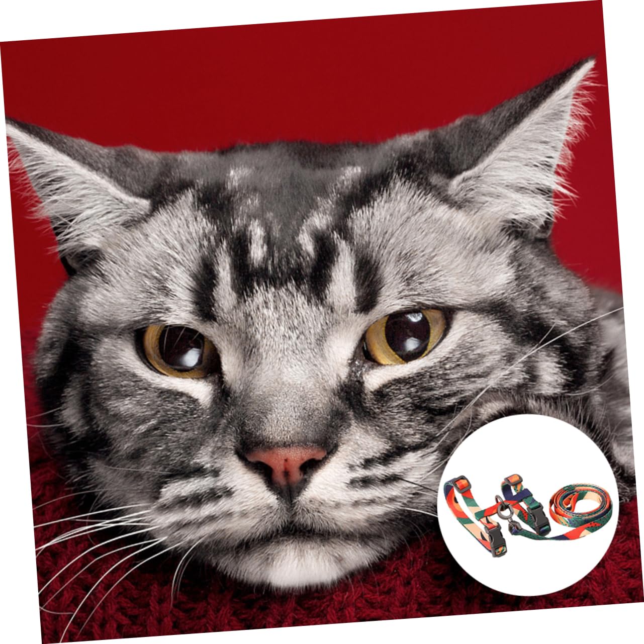 FOMIYES 3piezas De Arnés Tipo para Gatos Diseño Antideslizante y para Paseos Material Seguridad Al Caminar