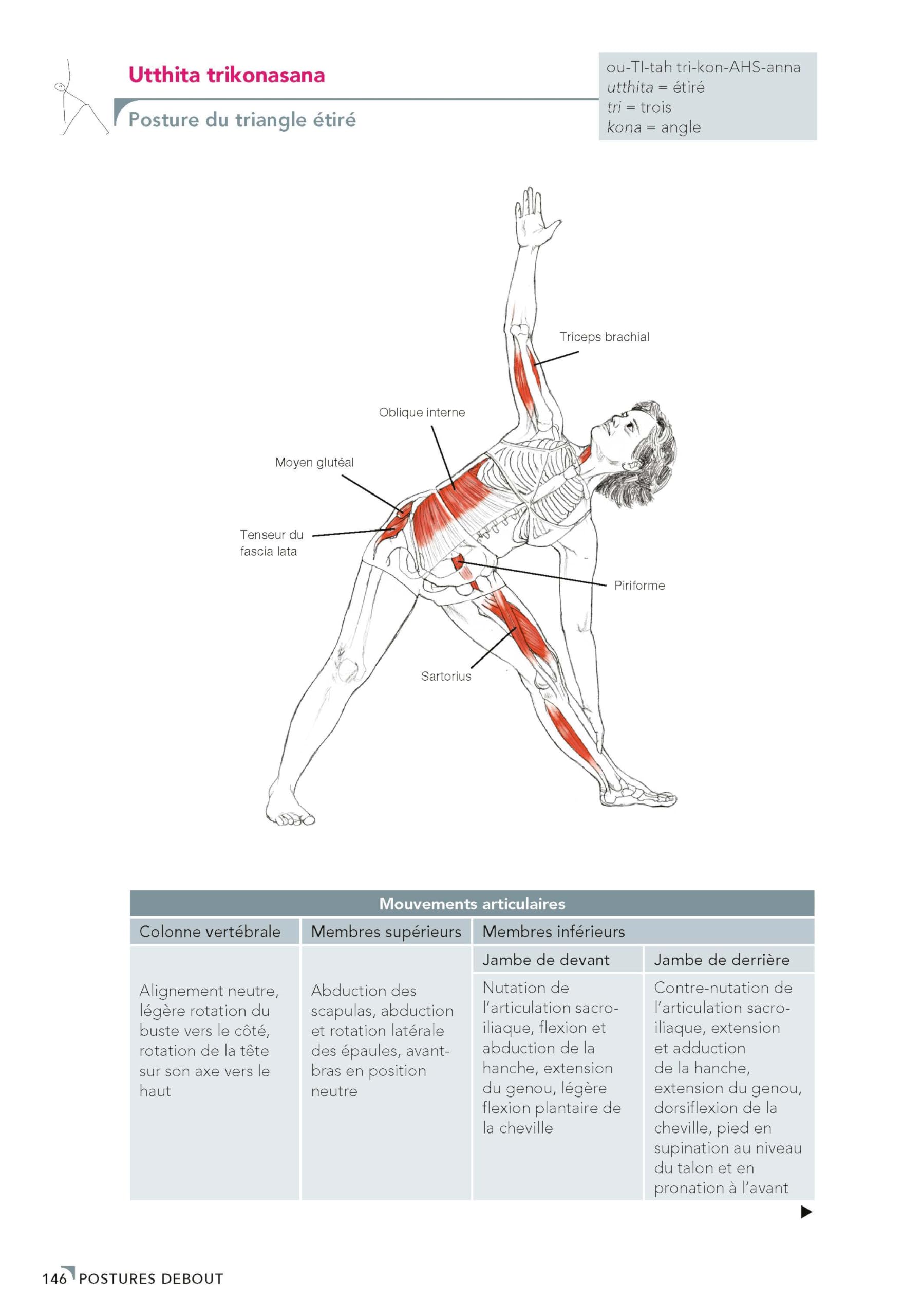 Yoga : Anatomie et mouvements, 3e éd.: Un guide illustré des postures, mouvements et techniques respiratoires