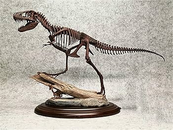Amazon | 菊石 1/20 サイズ ティラノサウルス Tレックス T-REX