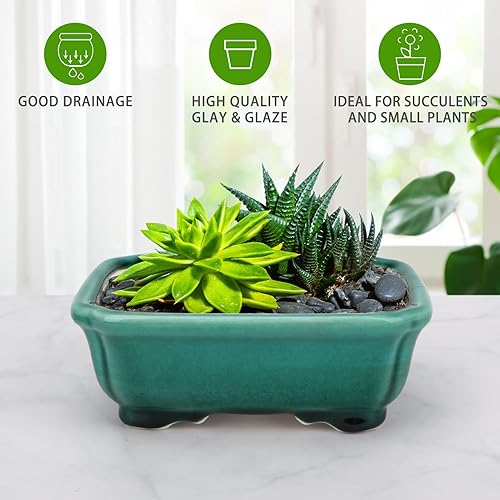 Miniatura 6 de Zisha - Juego de 2 macetas de arcilla blanca para bonsái esmaltadas poco profundas, color verde