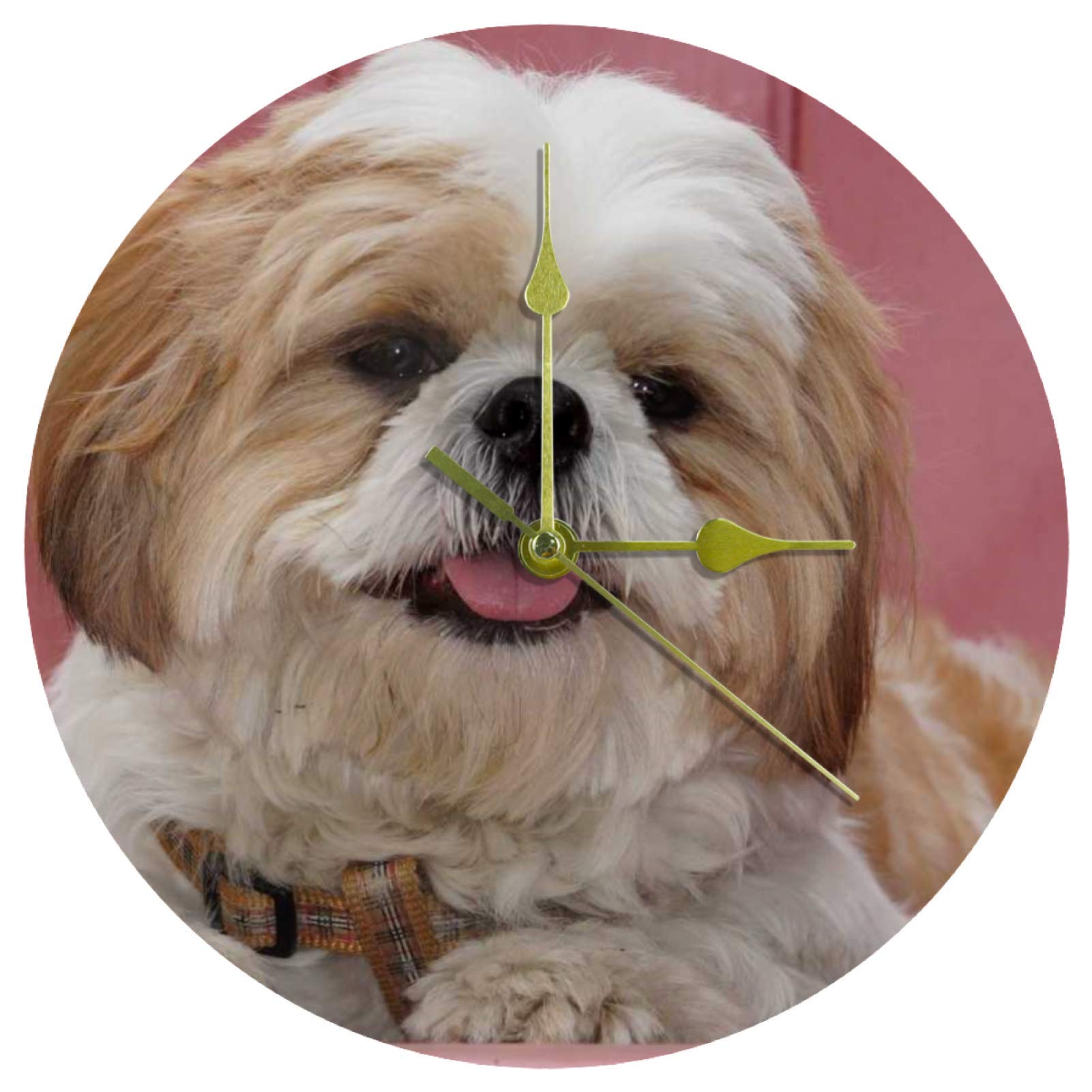 EZIOLY Acrylic Wall Clock Shih Tzu Dog Puppy 9.8 Inch Silent Non Ticking Quartz Battery Operated Unscaled Round Wall Clocks Decorative for Home Office School