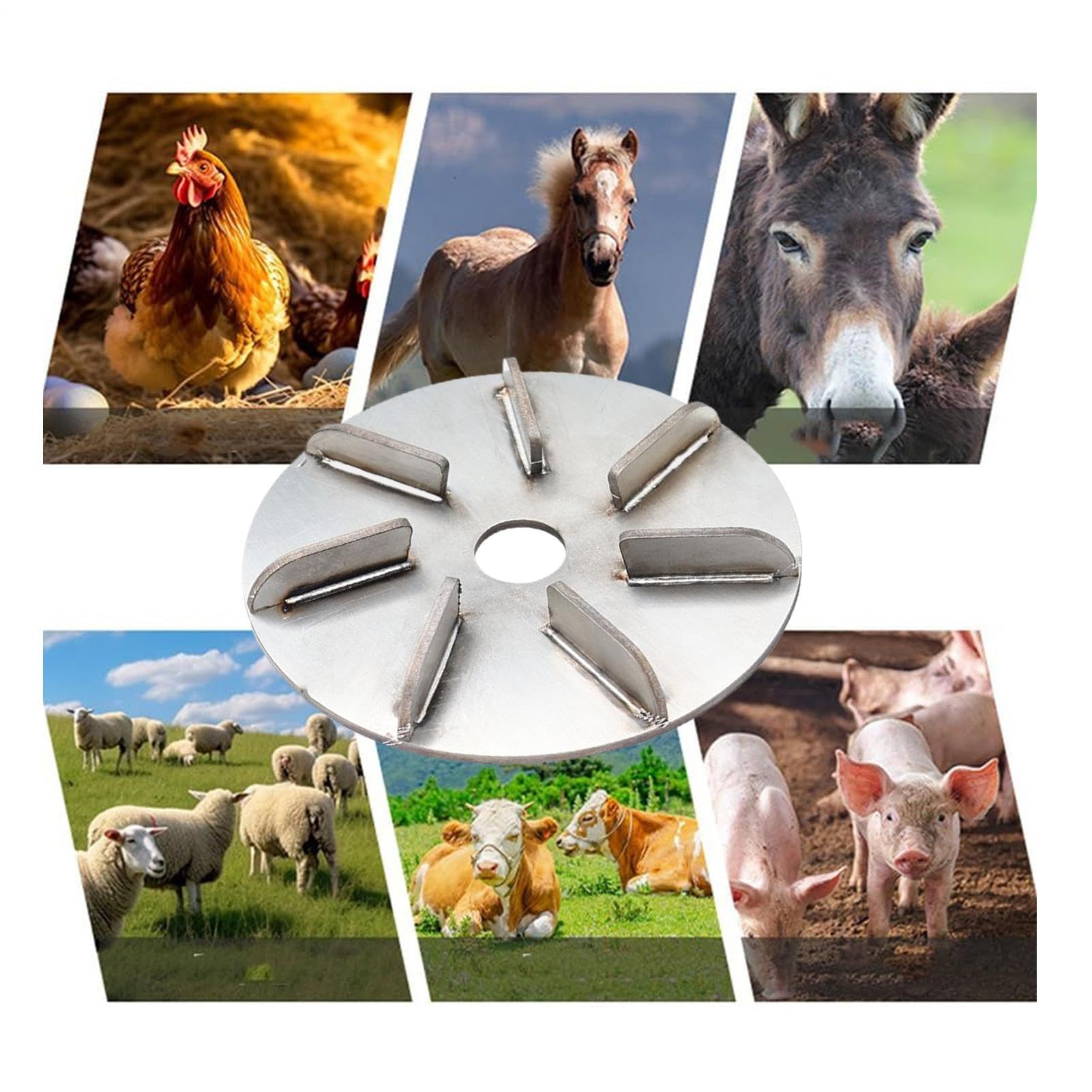 Disco raschietto per la rimozione dei dei maiali, facile da pulire, 10 cm, strumento per raschietto per suini, rimozione di maiale, leggero, per galline, galli, pollo, , pecora, pollame