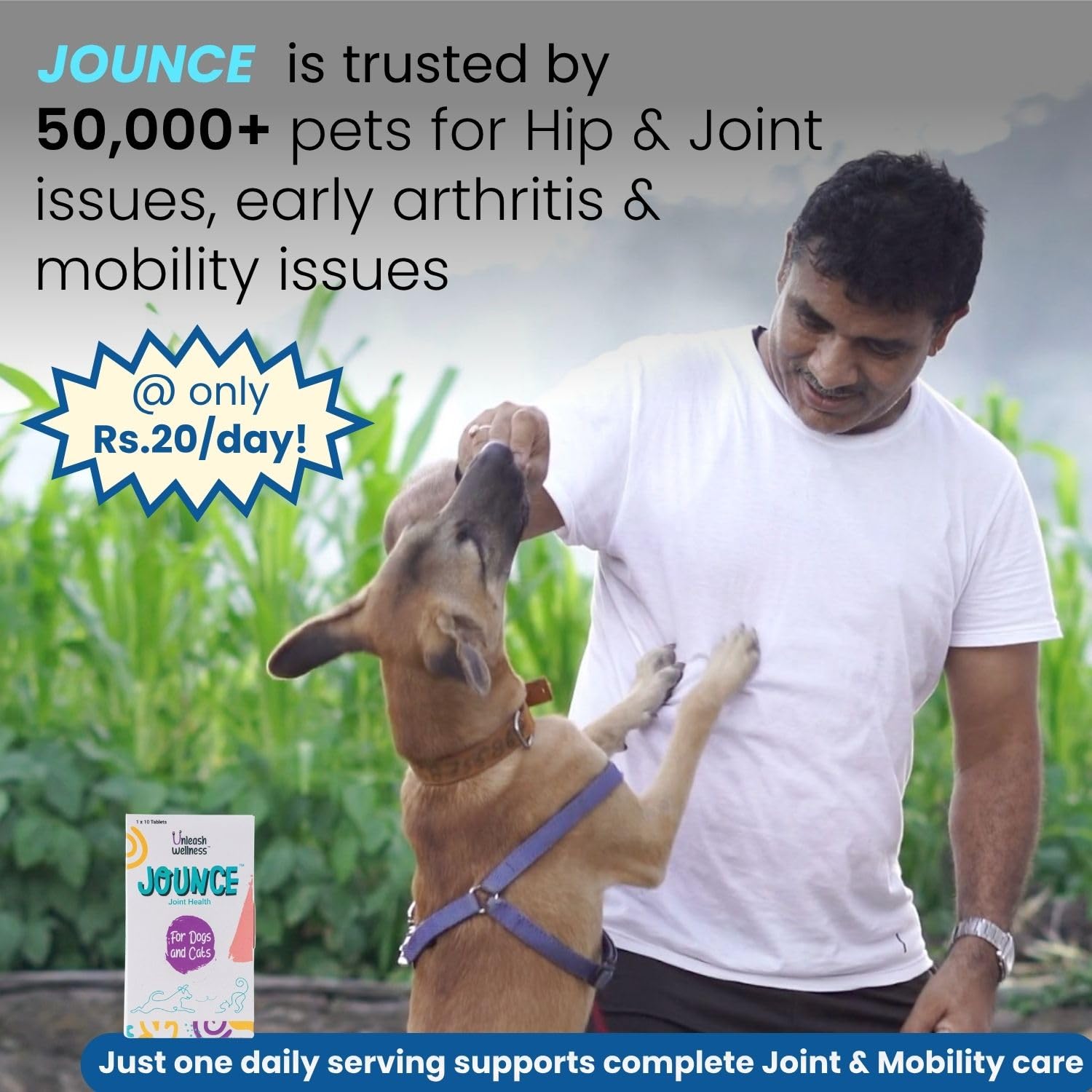 Jounce® Hip & Joint Supplement for Dogs, 30 Crunchies for Stiffness, Limping, Joint Pain & Dogs Prone to Hip Dysplasia with Collagen, Boswellia Serrata & Chondroitin for Mobility & Cartilage Support 4