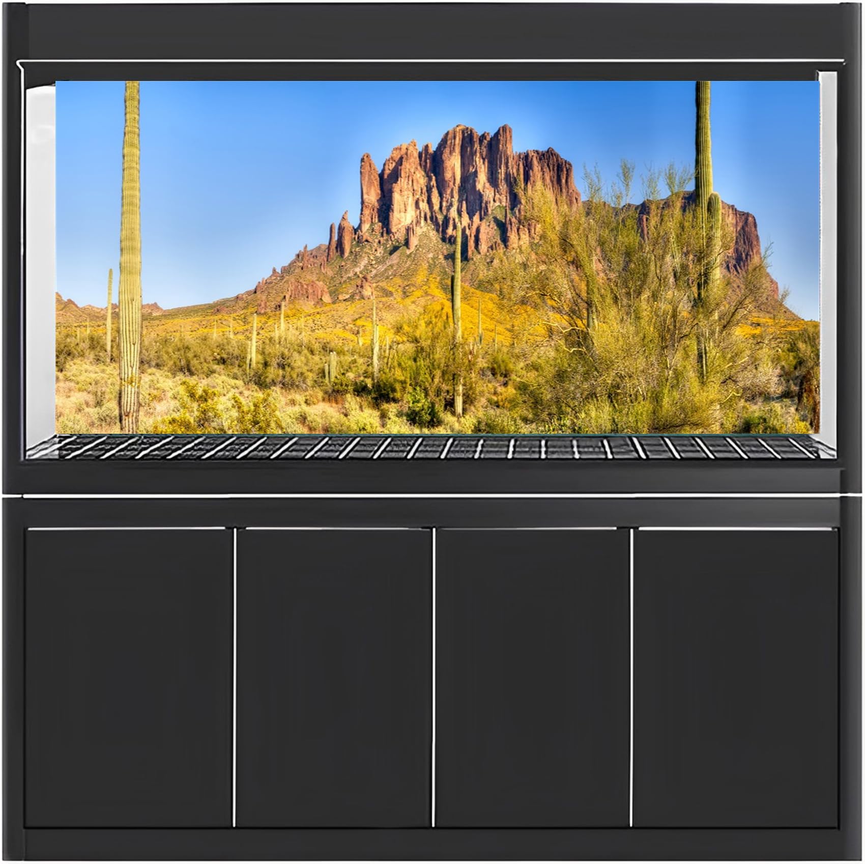View 2