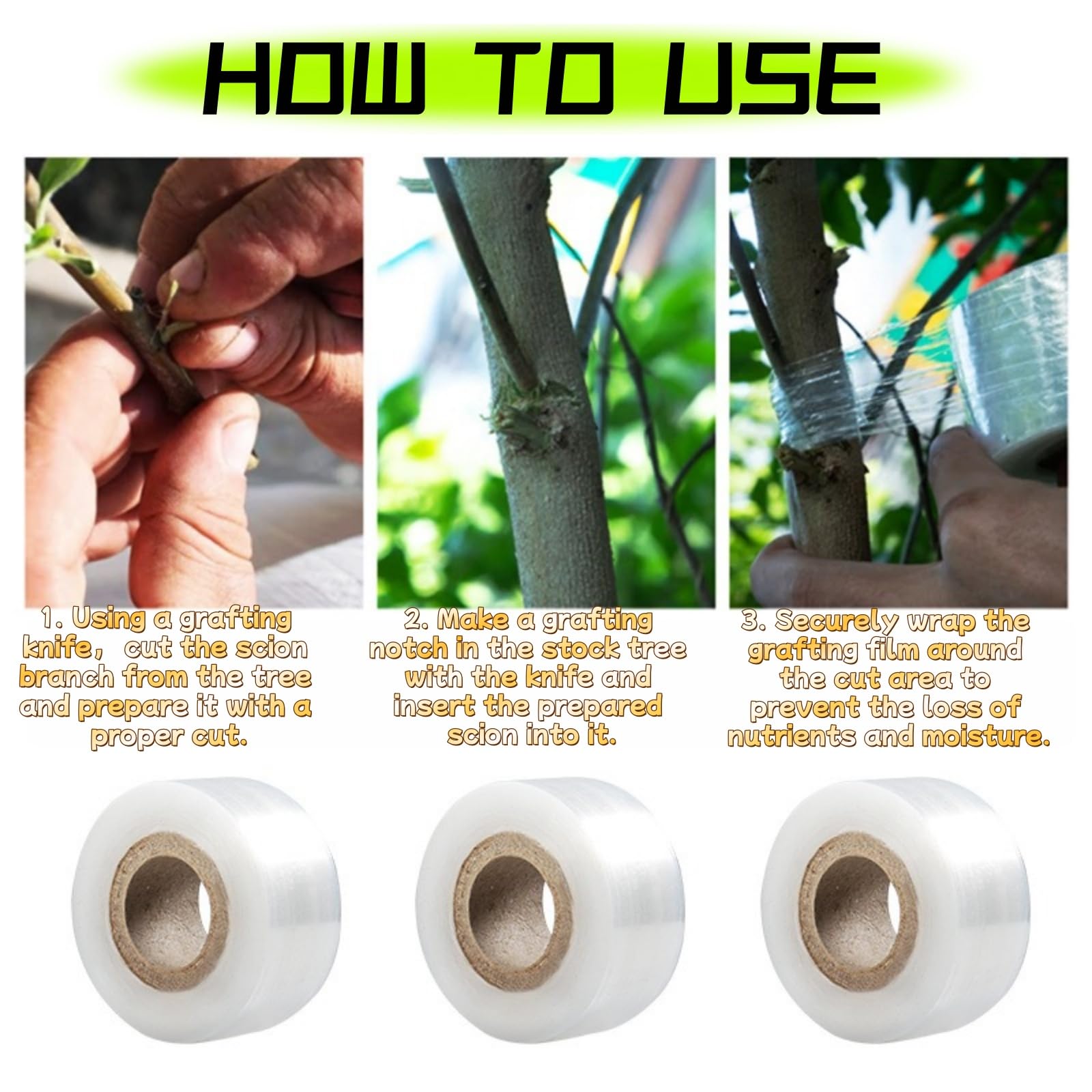 6/12 Stück 3cm Breit Veredelungsband, Abbaubares Pfropfband Grafting Tape,Veredelungsband für Baumschulen, Dehnbares, Baumschule Floristik Pflanze Obstbäume Reparatur Bänder (12)