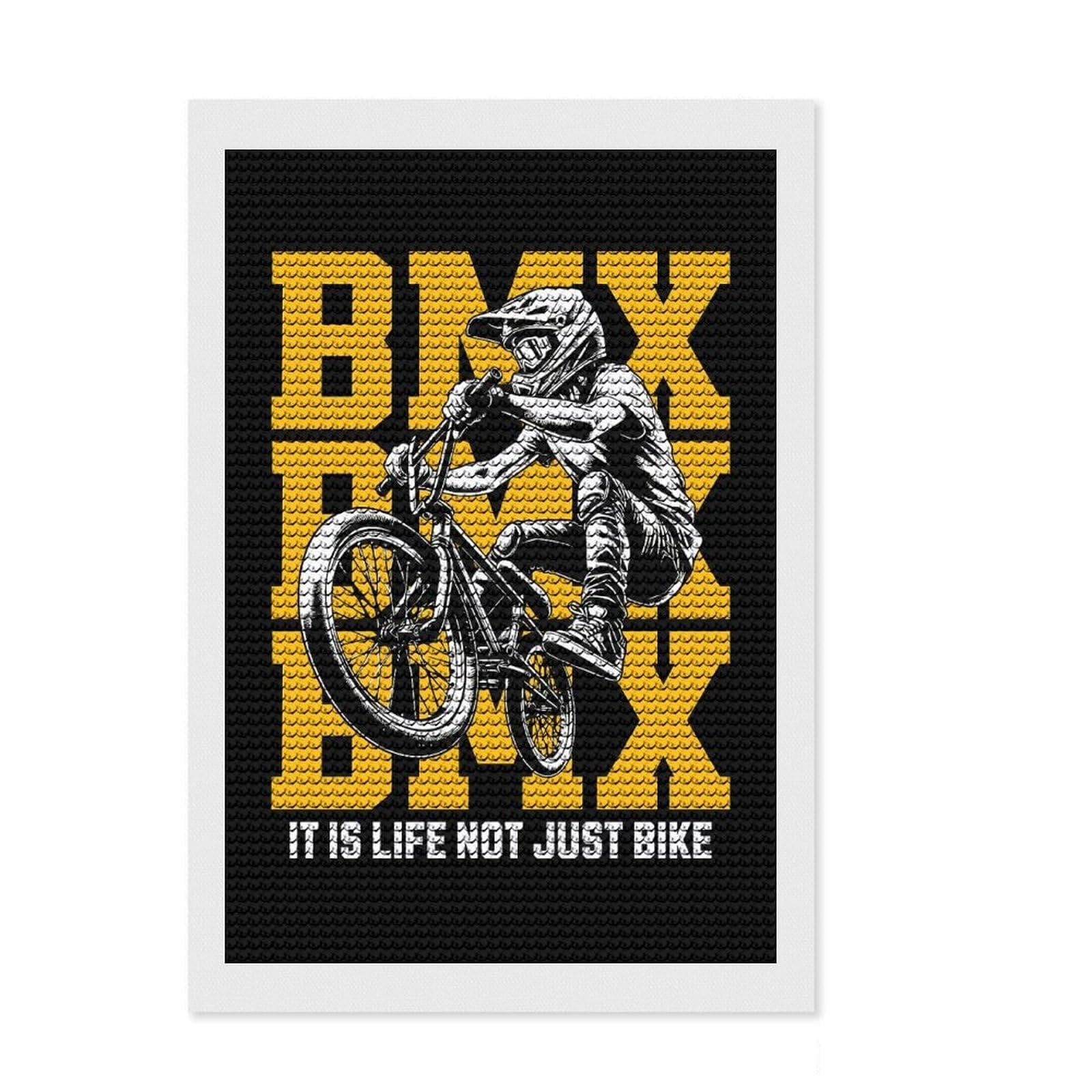 Junmoney BMX Diamond Art Kit 8"x12", Satisfying Creative Project, Creative Leisure Activity, Cosy Home Accent, Christmas Gift