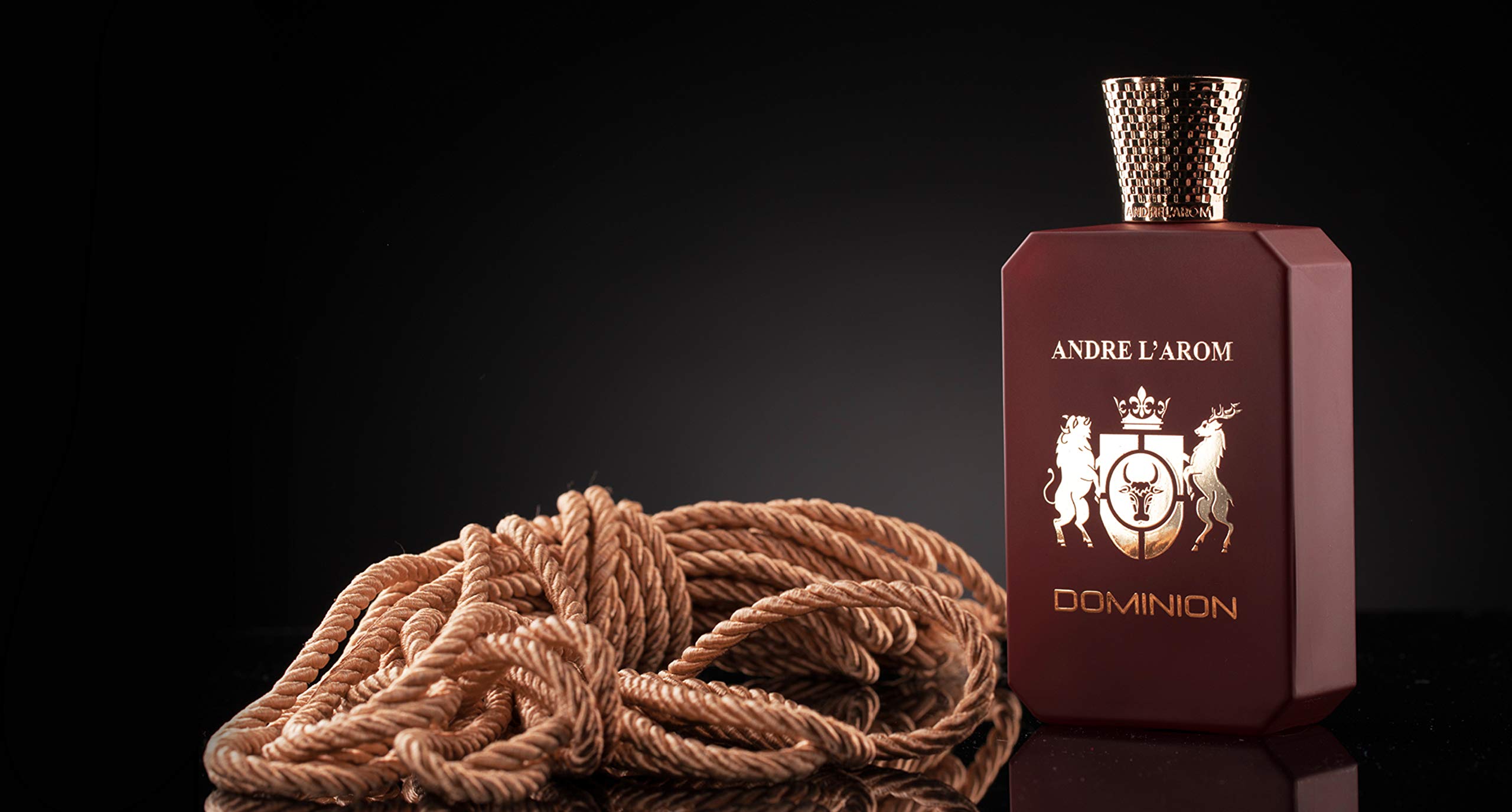 DOMINION Eau de parfum | Profumo per uomo 100 ml | lunga durata | fragranza Pelle | ottima idea regalo