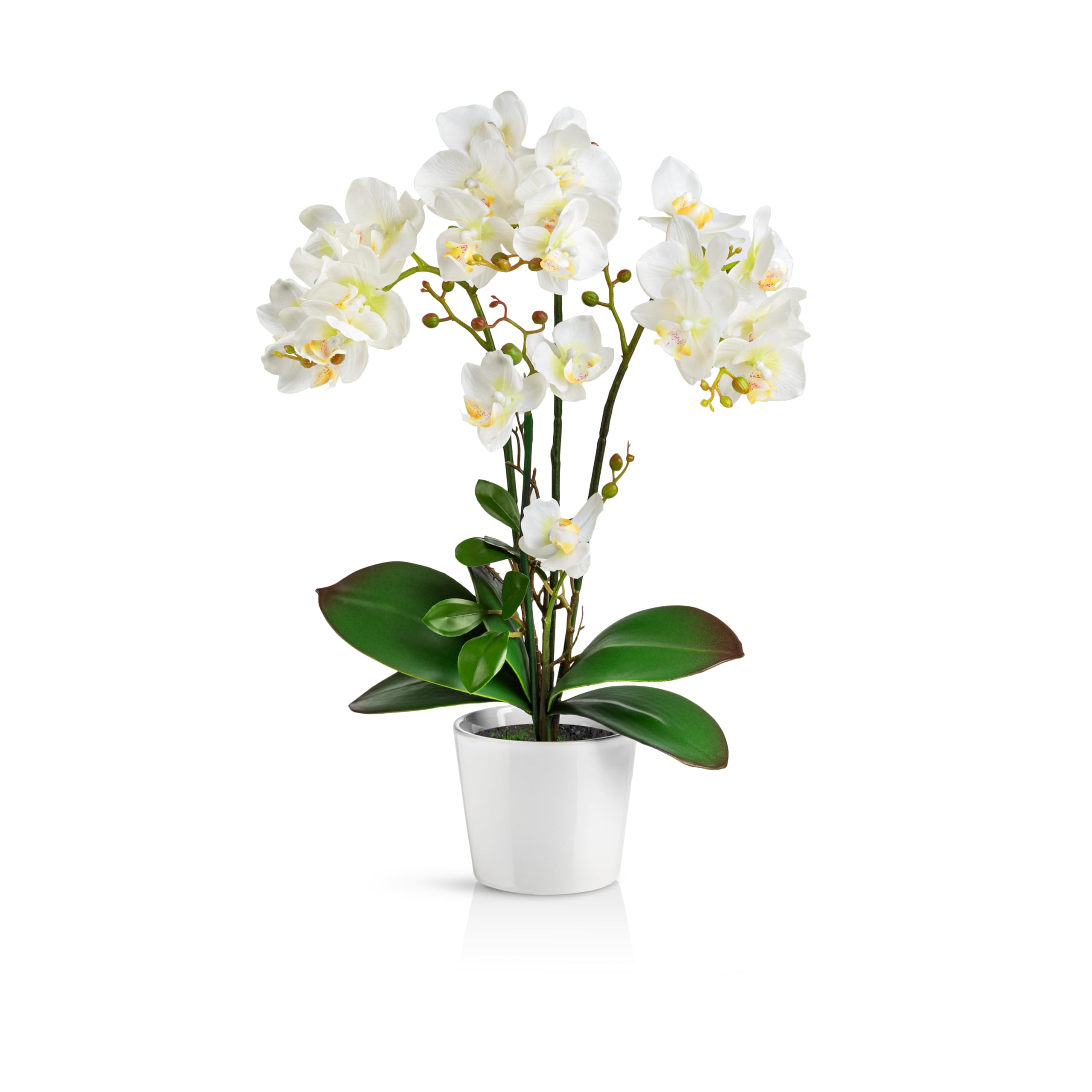 PASCH® Orchidées Artificielles Dans Des Pots en Céramique Brillante (46 cm) | Fleurs en Pot (Blanc)