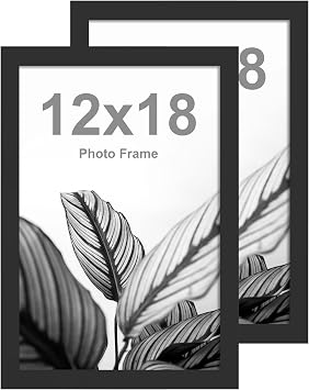 FrameWorks 12x18 Wooden Poster Frame, Classic Black Matte Edged Frames w/Shatterproof Acrylic Glass, Photos, Posters, Prints, Wall Decor Home, Office, Gallery Display - Black - 2 Pack