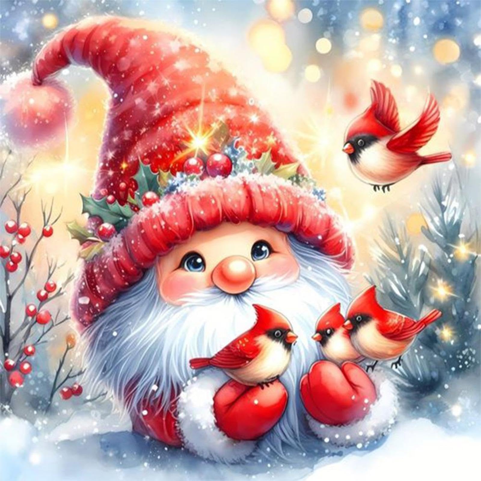 Bird Gnome Stamped Cross Stitch Kits for Adults Beginners, 11CT Pre-Printed Embroidery Fabric with Thread, Needlepoint Craft Set for Home Kitchen Wall Decor, DIY Hobby Gift(40 * 40cm)