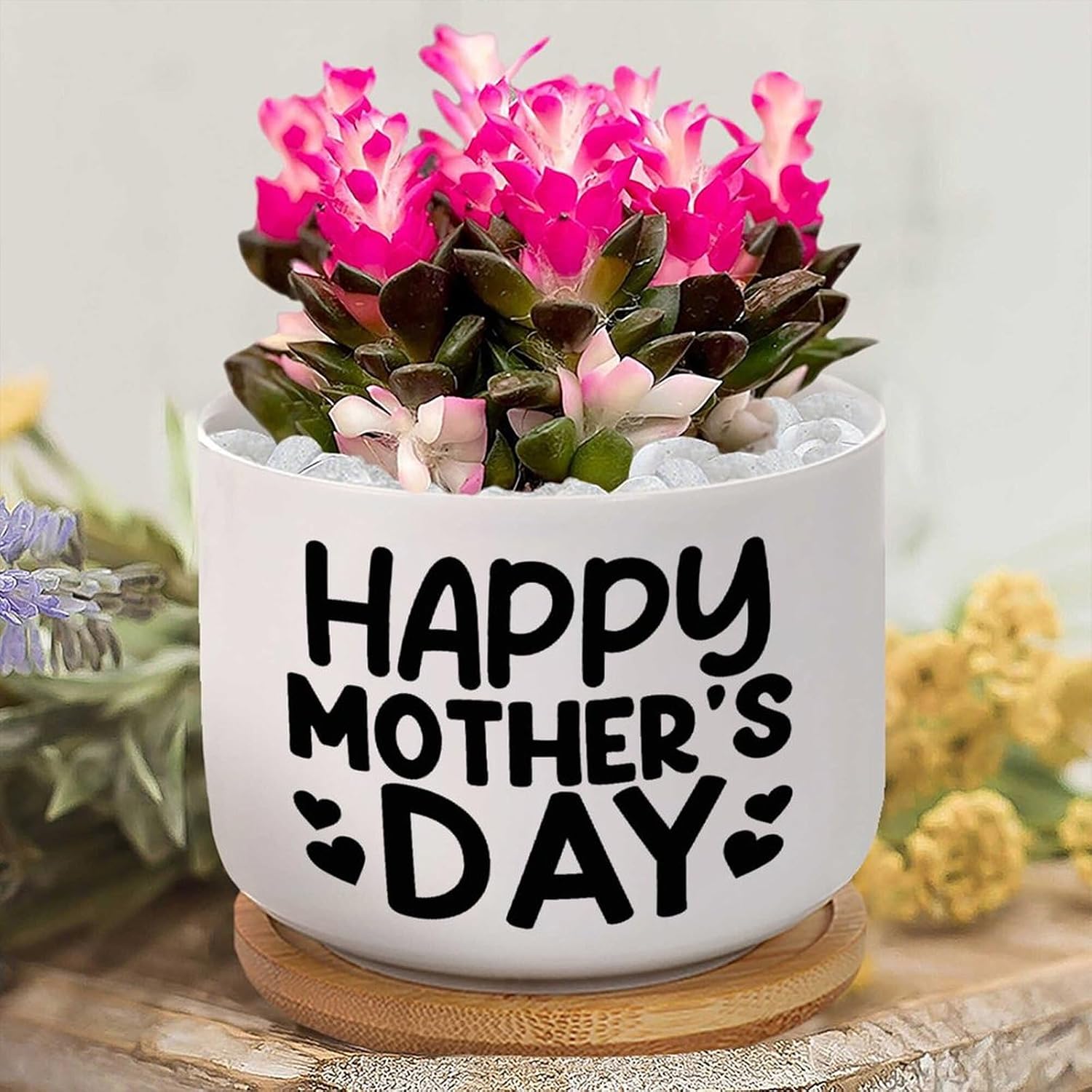 Happy Mother's Day Ceramic Planter Set of 3 Mother's Day Quote Mom Quotes Succulents Plants Live with Pot with Drainage Holes Small Ceramic Planter