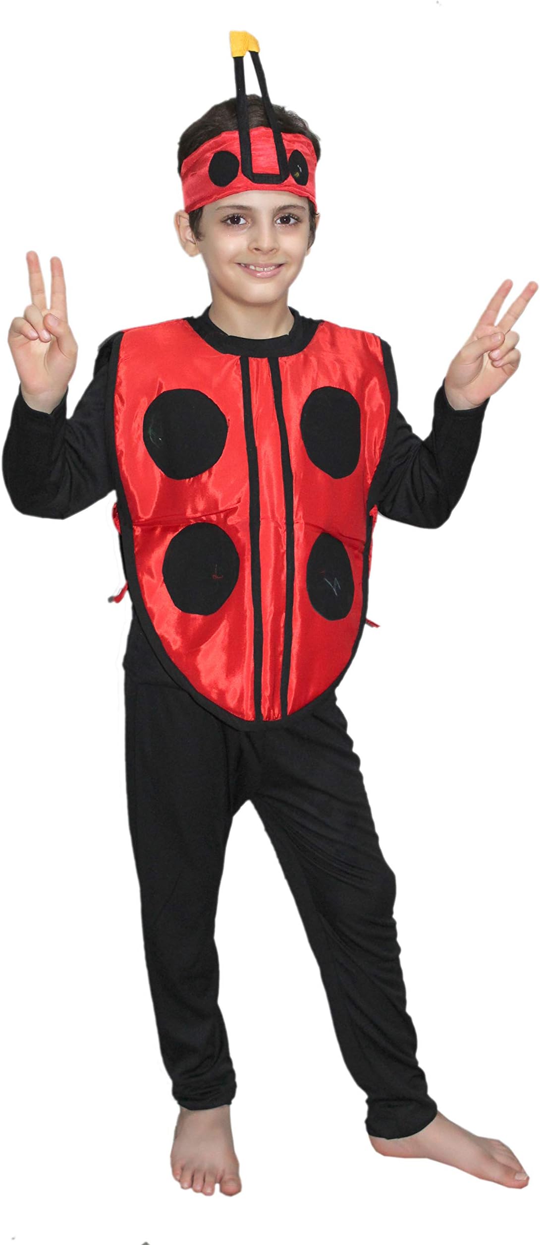 Kaku Fancy Dresses Insect Costume for Kids, Ant, Grasshopper, Lady Bird, Honey Bee Costume for Boys & Girls