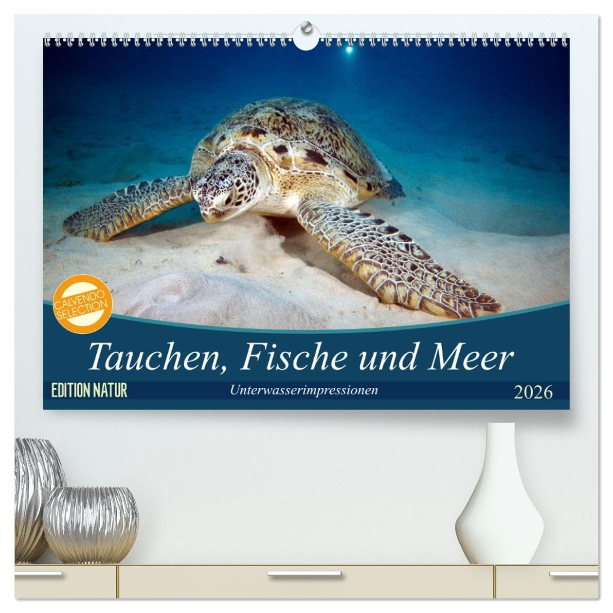 Tauchen, Fische und Meer (hochwertiger Premium Wandkalender 2026 DIN A2 quer), Kunstdruck in Hochglanz: Unterwasserimpressionen