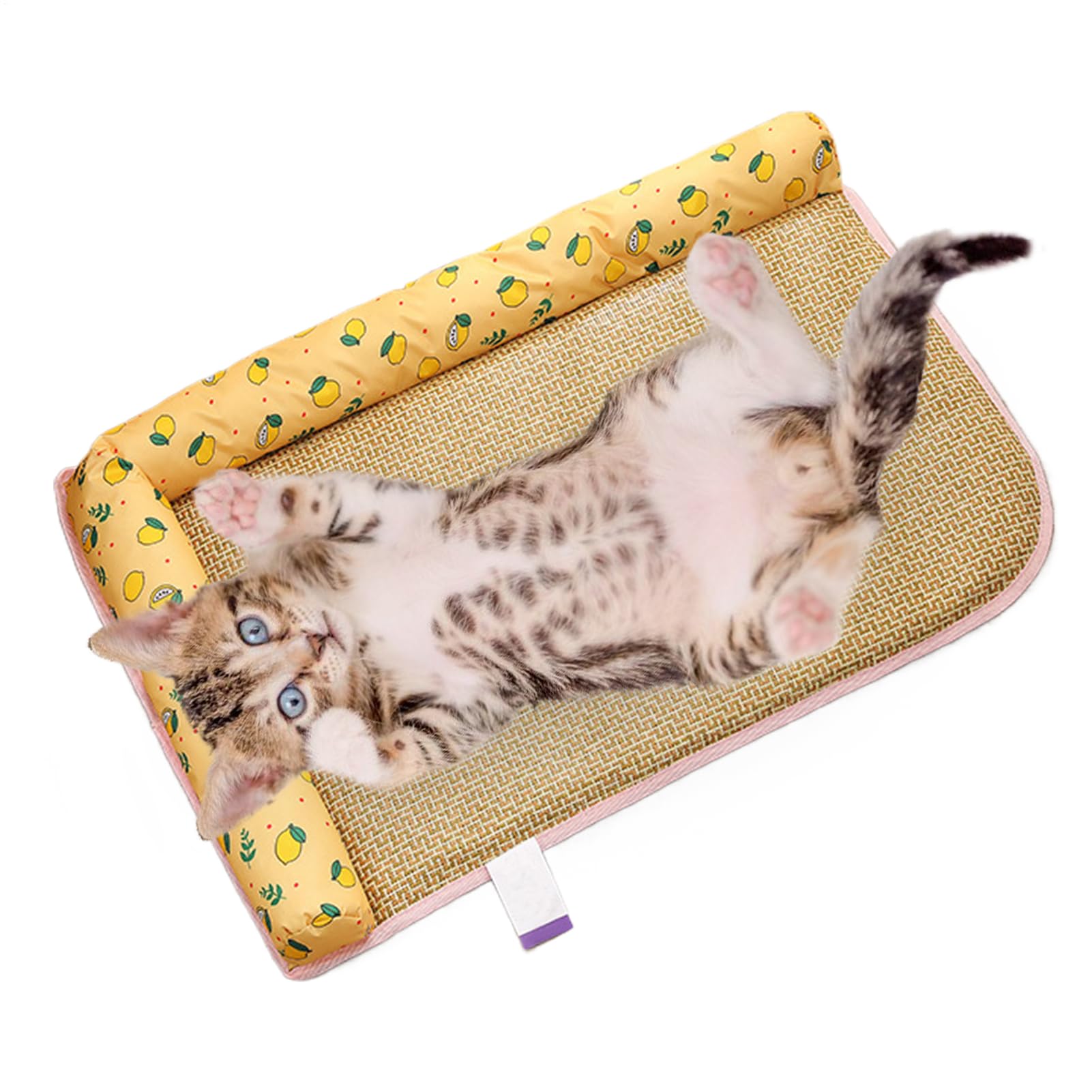 Tapis rafraîchissant pour chiens au jardin et coussin respirant intérieur