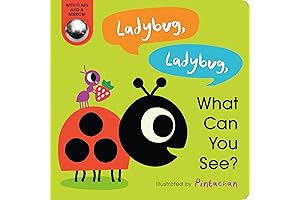 Ladybug, Ladybug, What Do You See?