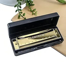 Gaita 10 furos chave de C, 20 tons diatônico blues boca órgão - ideal para iniciantes, inclui capa protetora - ouro