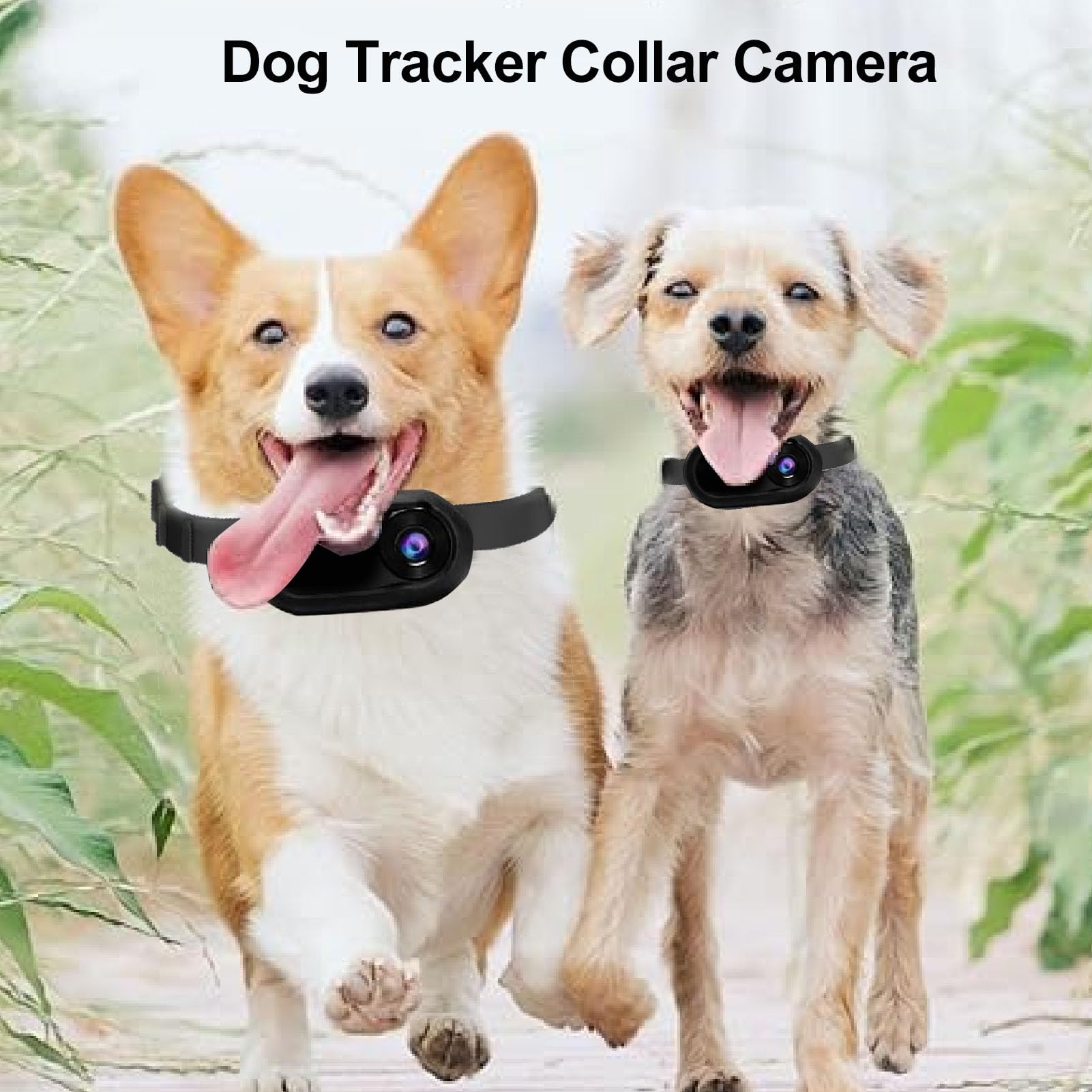 Xiuganpo HD Pet Collar Camera, Mini 1080P Cat Camera with 160° Wide Angle Lens & 32GB Memory Card - Image 3