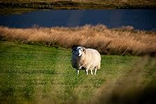 Review Image by Graham Collins