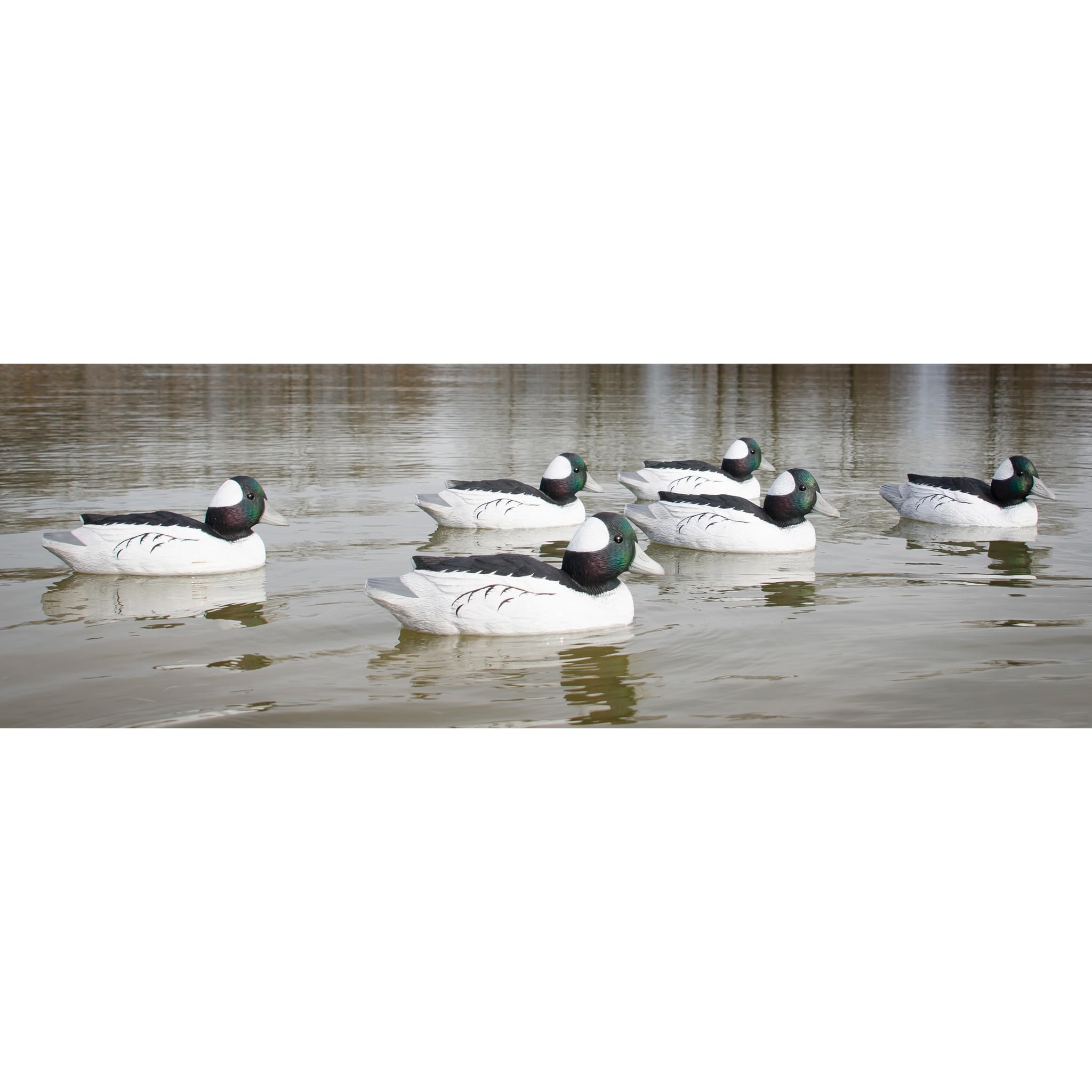 Higdon Outdoors Señuelos de Pato Bufflehead estándar, Todos los Patos, Rellenos de Espuma