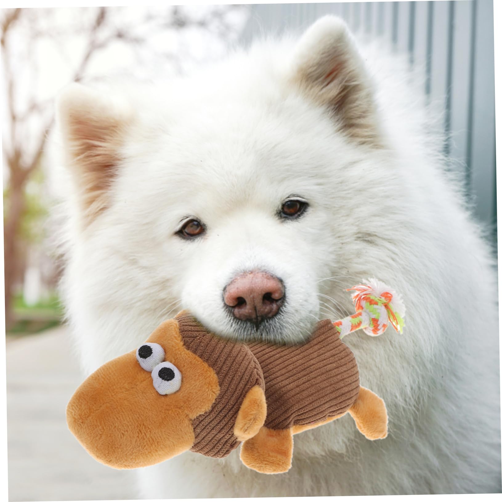 BESPORTBLE Jouet pour Chien Peluche à Mordre avec Jouet Interactif pour Chiots Et Chiens Activité Et Détente Noël