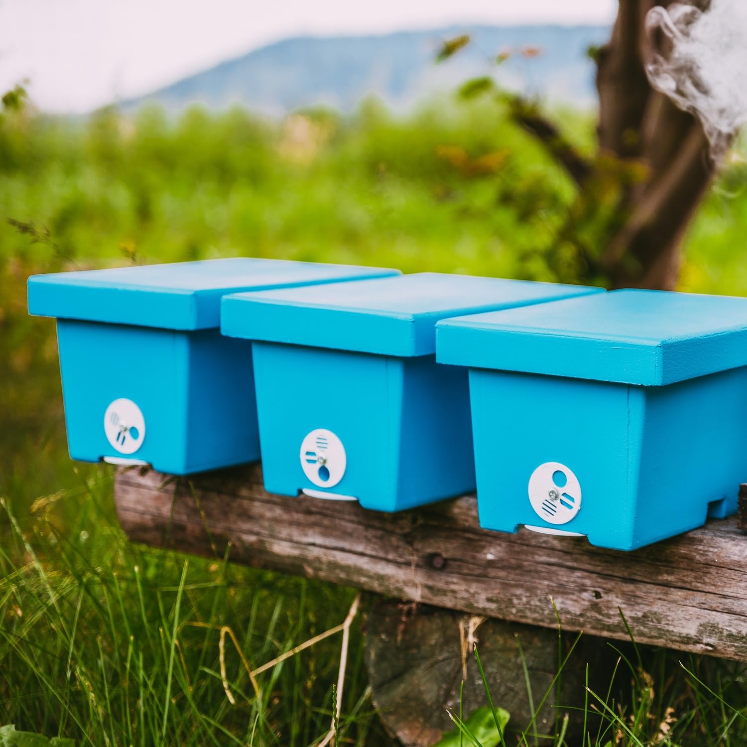 LYSON Mini ruche d'abeilles pour une famille en polystyrène peint - Règle de mariage - Accessoires d'apiculture