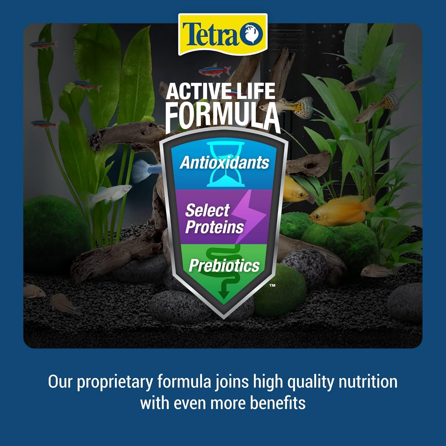 Tetra 77181 TetraFin Goldfish Crisps, 7.76-Ounce , 1-Liter