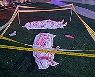 Review Image by B. Winfree B. Winfree