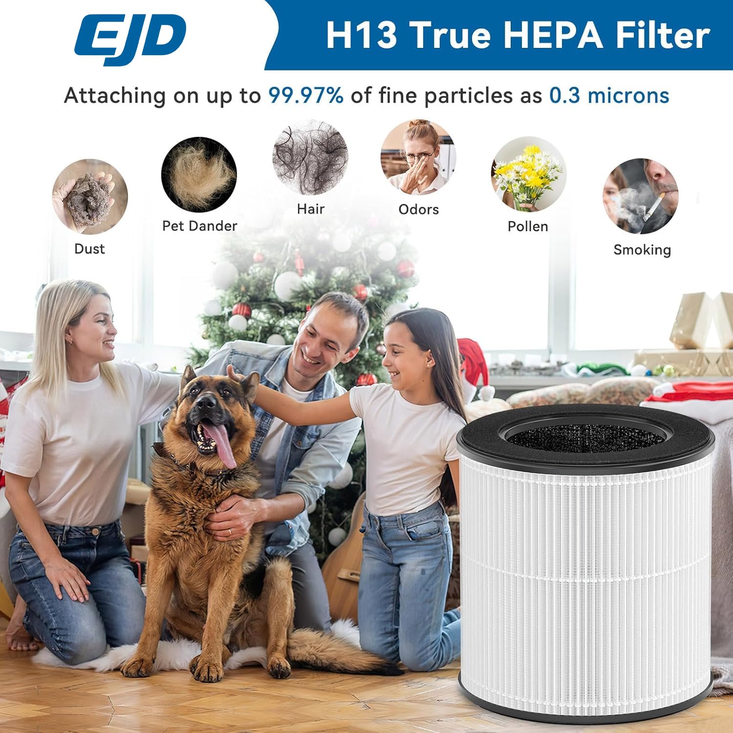 EJD Offizieller AP100 Luftreiniger-Ersatzfilter, 3-in-1 Luftreinigerfilter, True H13 Filter, 2 Stück