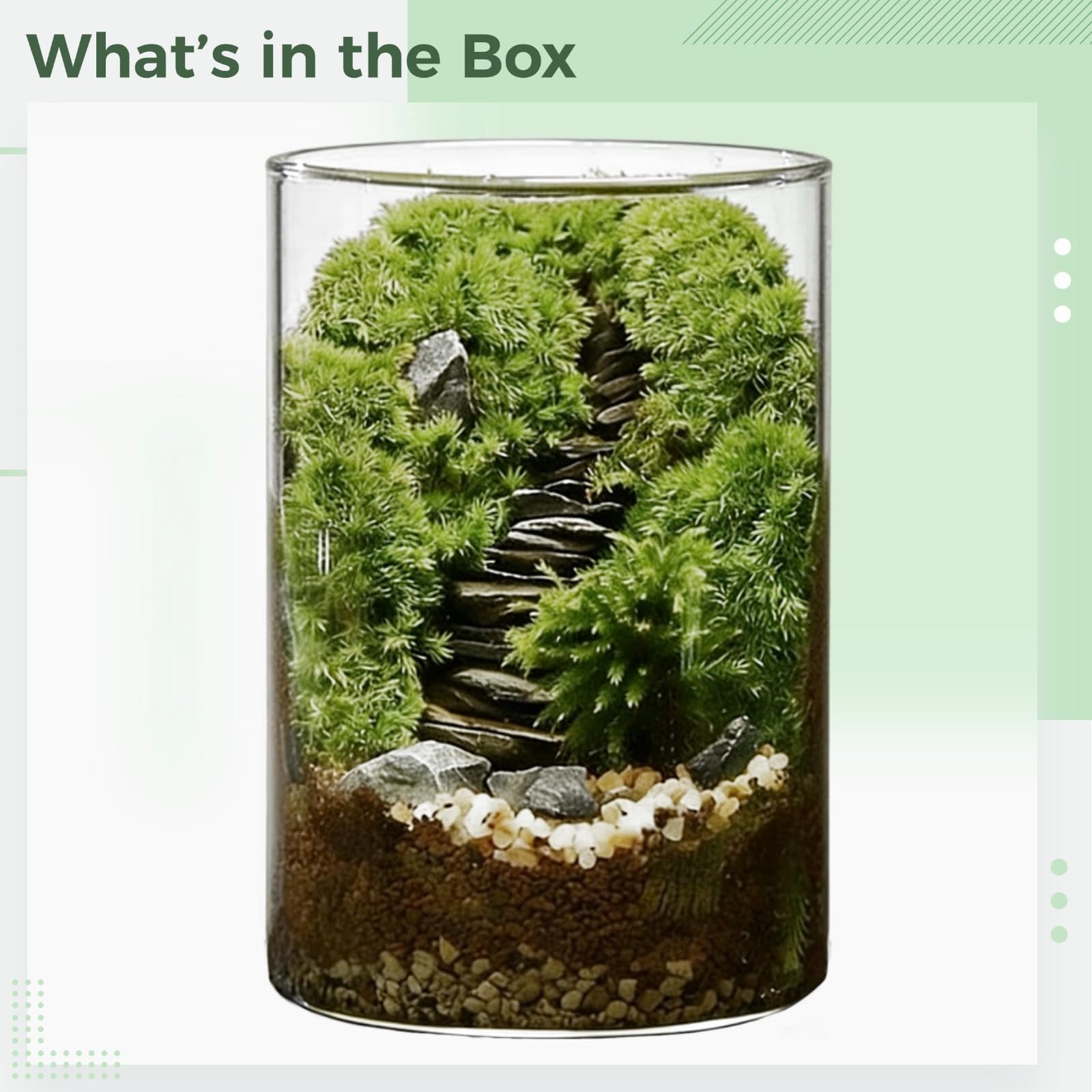 Diy Moss Terrarium Kit, duża szklana butelka ekosystemu 15 x 9 cm do roślin domowych, kompleksowy zestaw materiałów i narzędzia, odprężenie