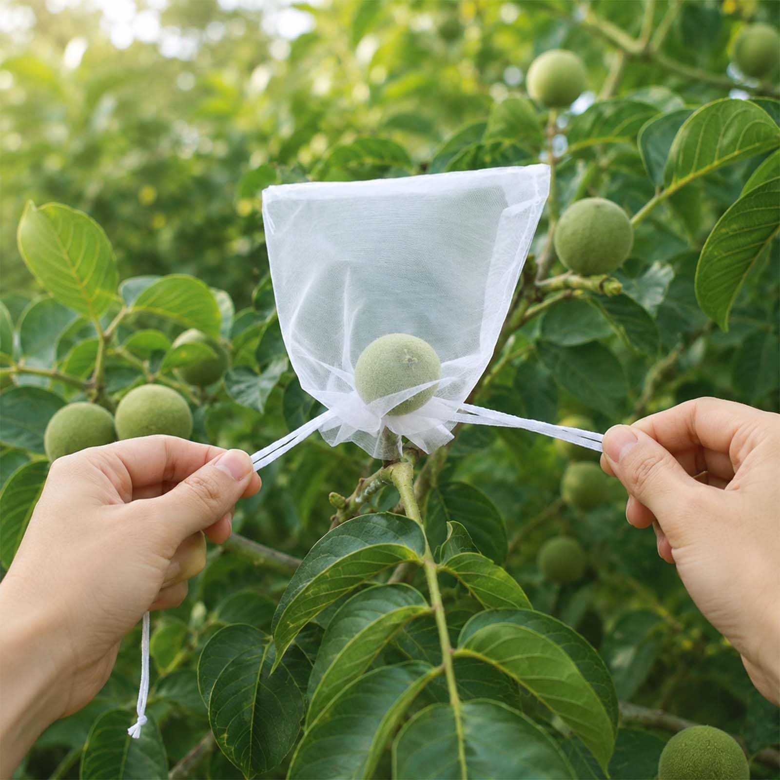 100 Piezas Bolsas para Uvas en Parra, 30 x 40 cm Bolsas Protectoras para Uvas, Bolsa de Protección de Frutas con Cordón, Bolsas Proteccion Uvas para Proteger contra Pájaros Drosophila Avispas