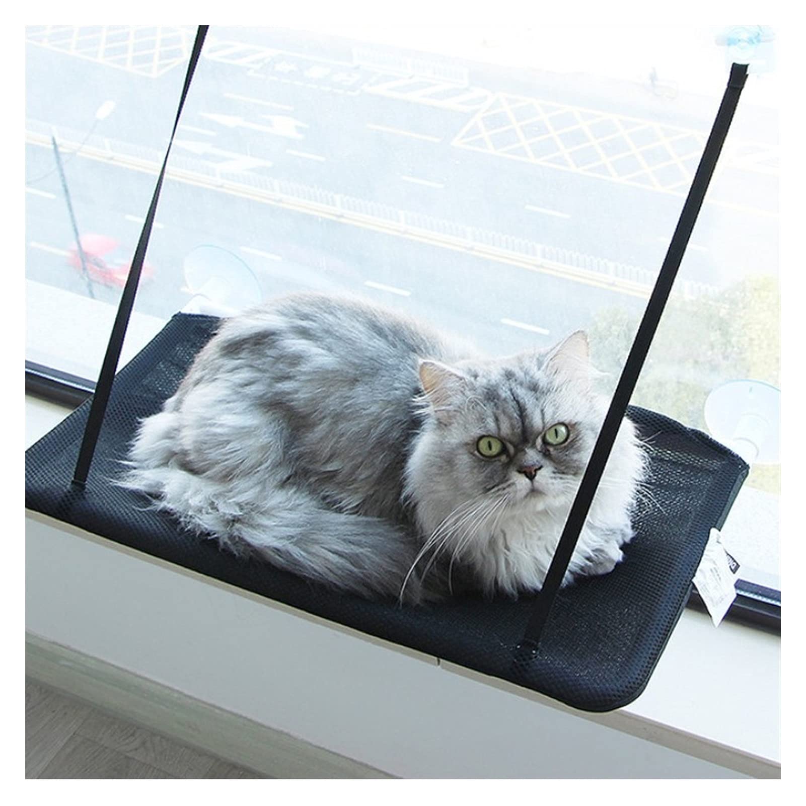 Hamac Chat/Perchoir à Chat Perche de fenêtre de chat, chat vitrine Hamac d'intérieur Espace intérieur Sauvegarde de la fenêtre de chat monté, for grand chat et chaton Hamac pour Animaux ( Color : Noir