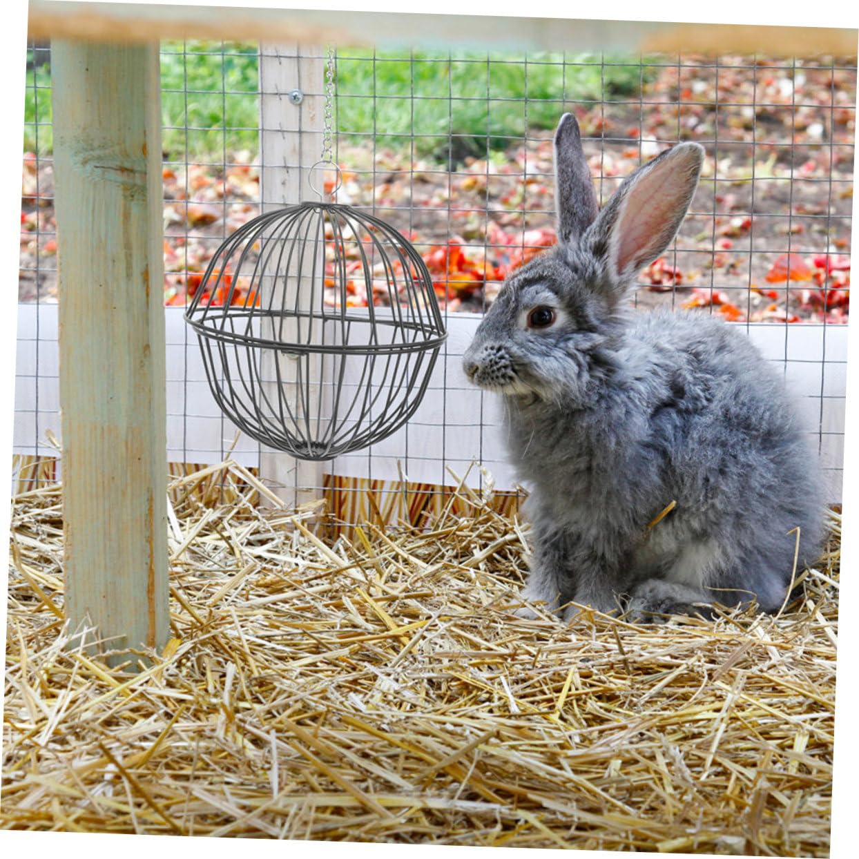 Happyyami 4pièces Distributeur De Foin Inoxydable pour Lapins Et Rongeurs Boules De Nourriture Suspendues Jouets Et Râtelier pour Hamsters Cobayes Et Chinchillas